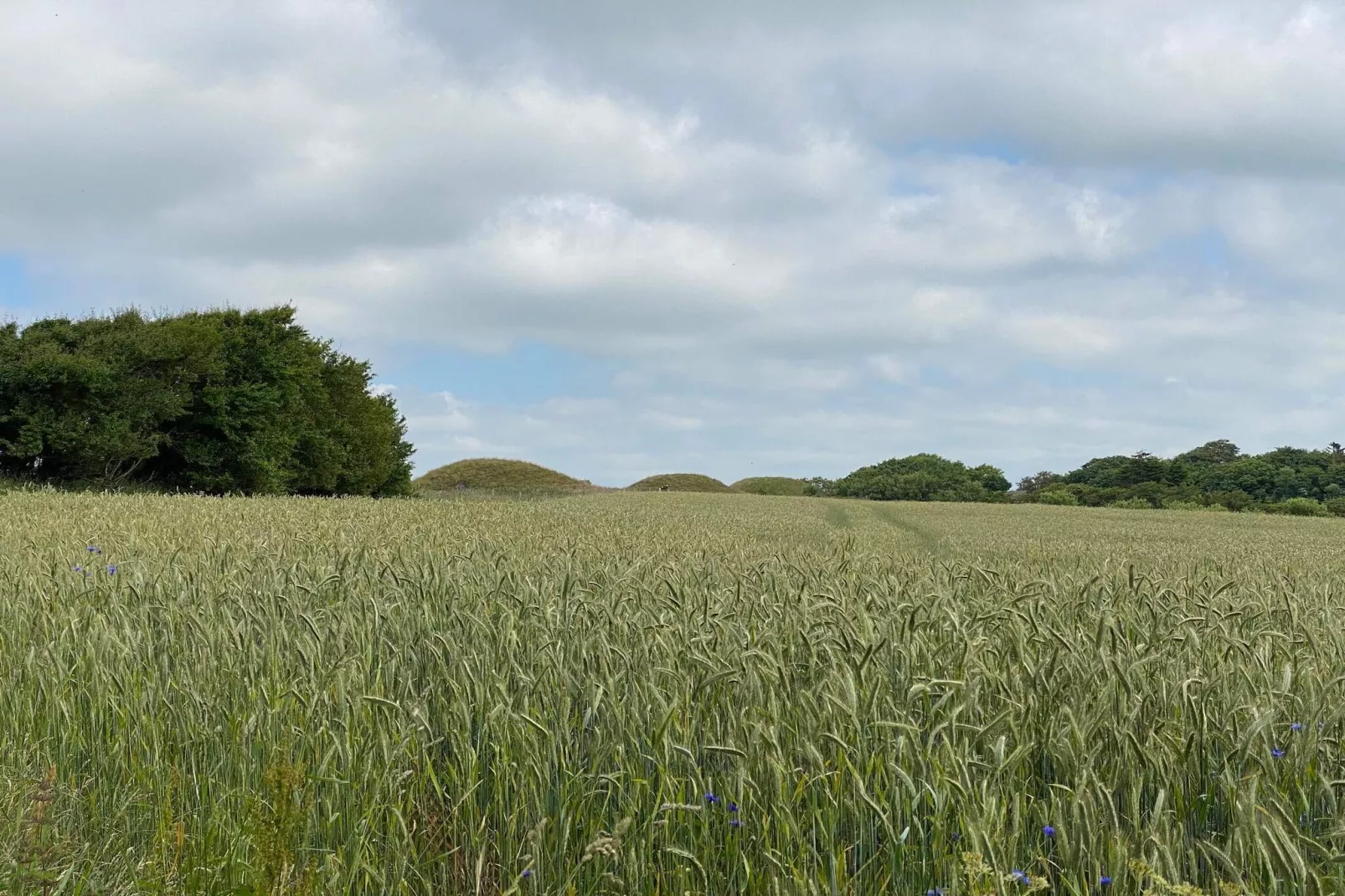 10 persoons vakantie huis in Ranum