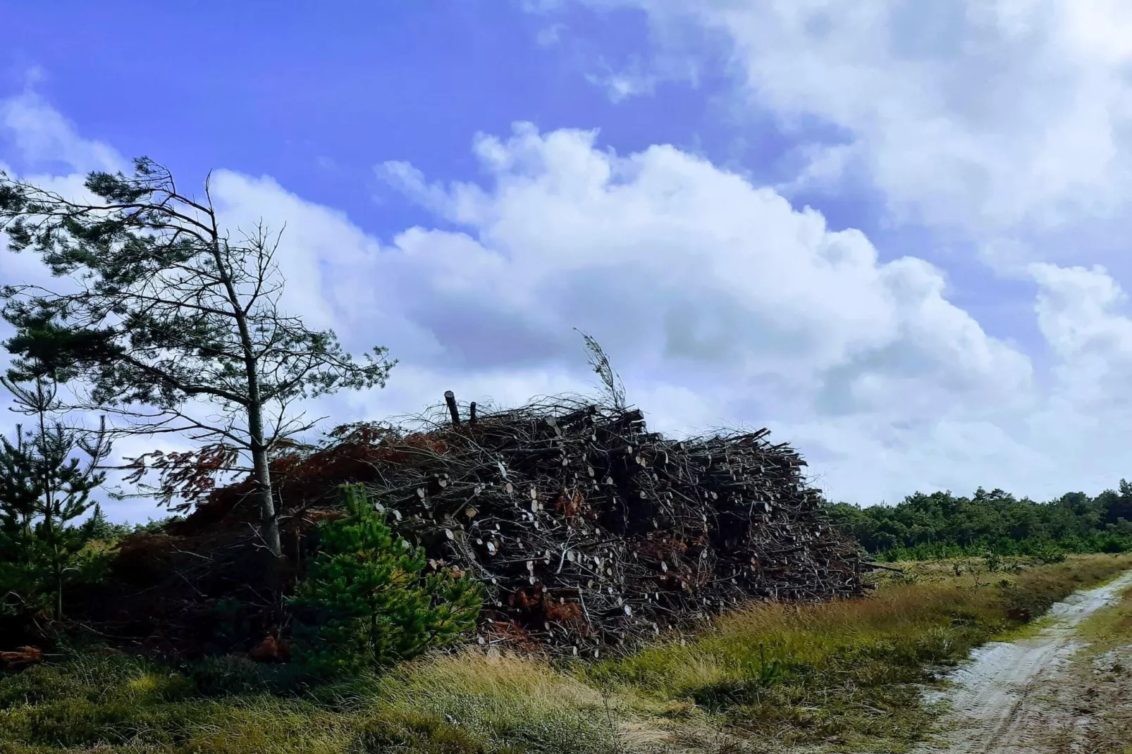 Gezellige Blokhut Toevluchtsoord-By Traum