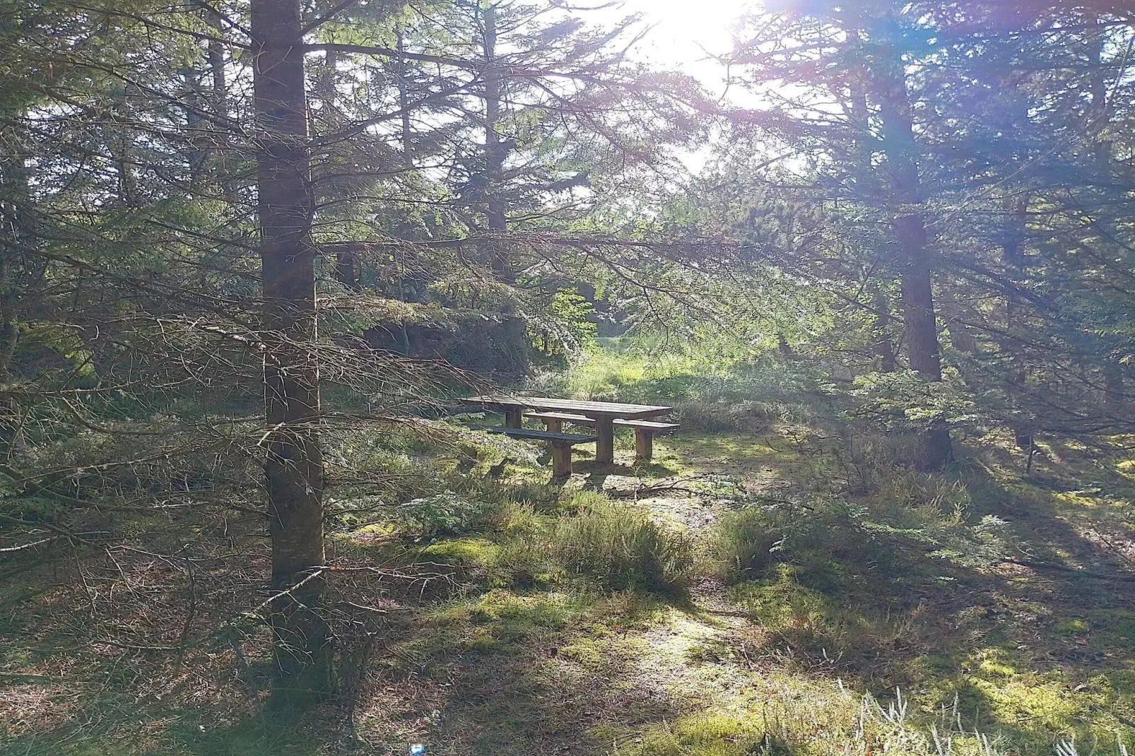 10 persoons vakantie huis in Frøstrup-By Traum