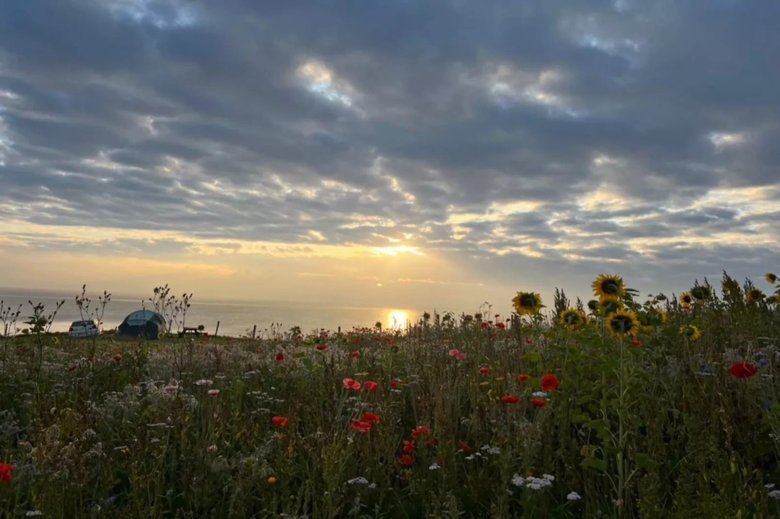 Strandparel voor 6 -- By Traum Ferienwohnungen - Niet-getagd