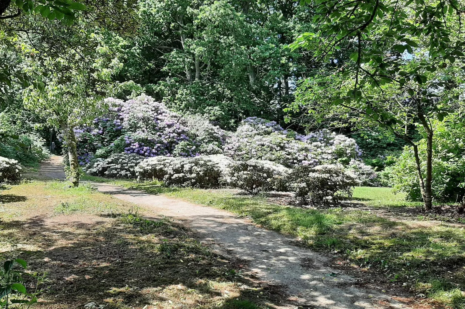 6 persoons vakantie huis in Sæby-By Traum