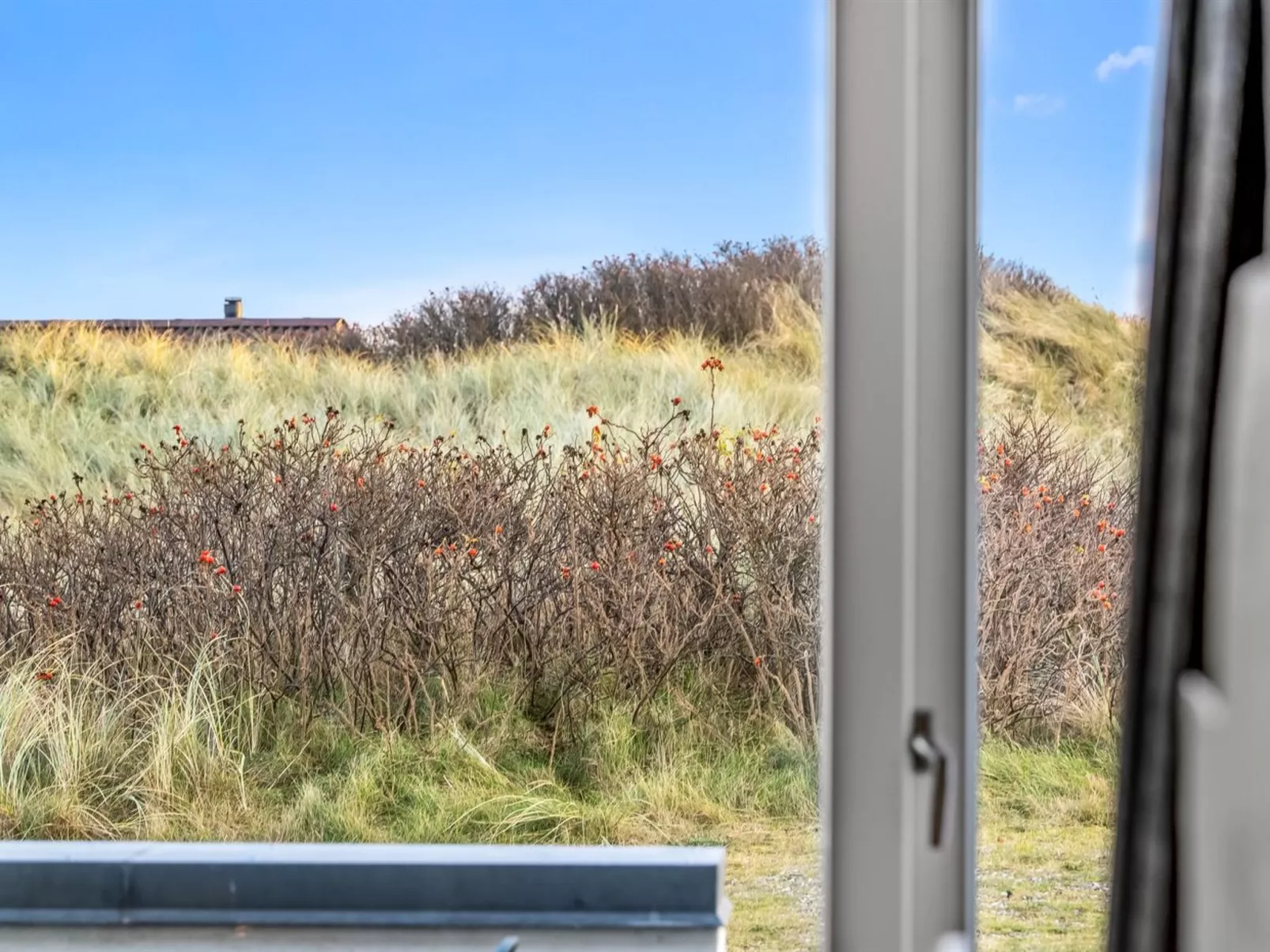 "Edisa" - 50m from the sea