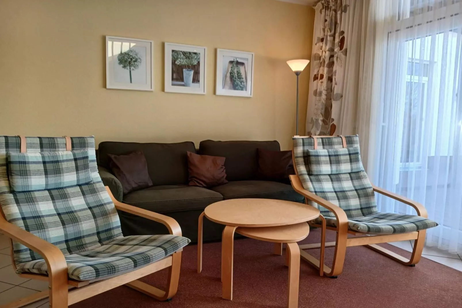 Eisvogel Classic 301