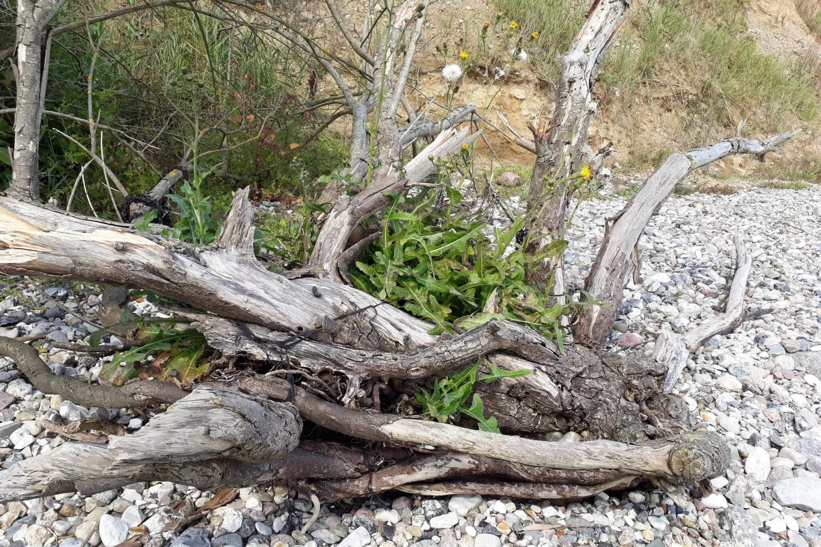 8 persoons vakantie huis in Haderslev-By Traum