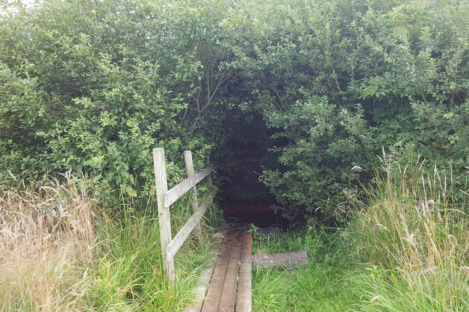 Gezellige Blokhut Toevluchtsoord-By Traum-Niet-getagd