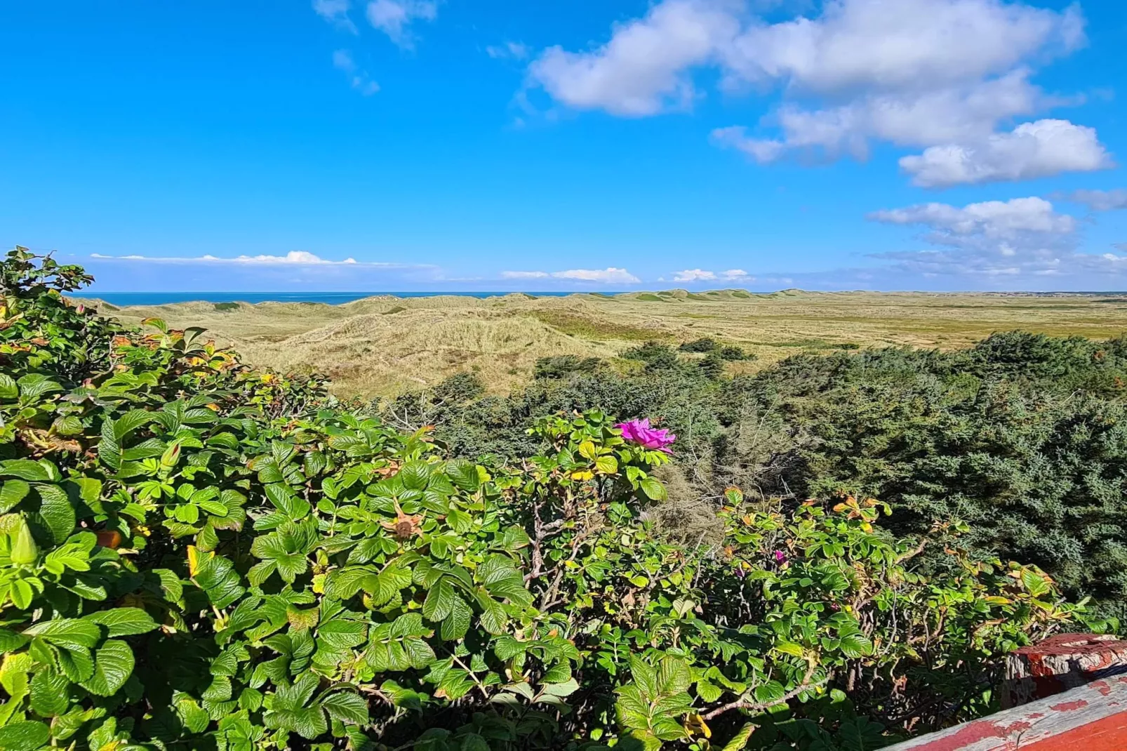 Prachtig uitzicht in Storebaelt -- By Traum Ferienwohnungen - Niet-getagd