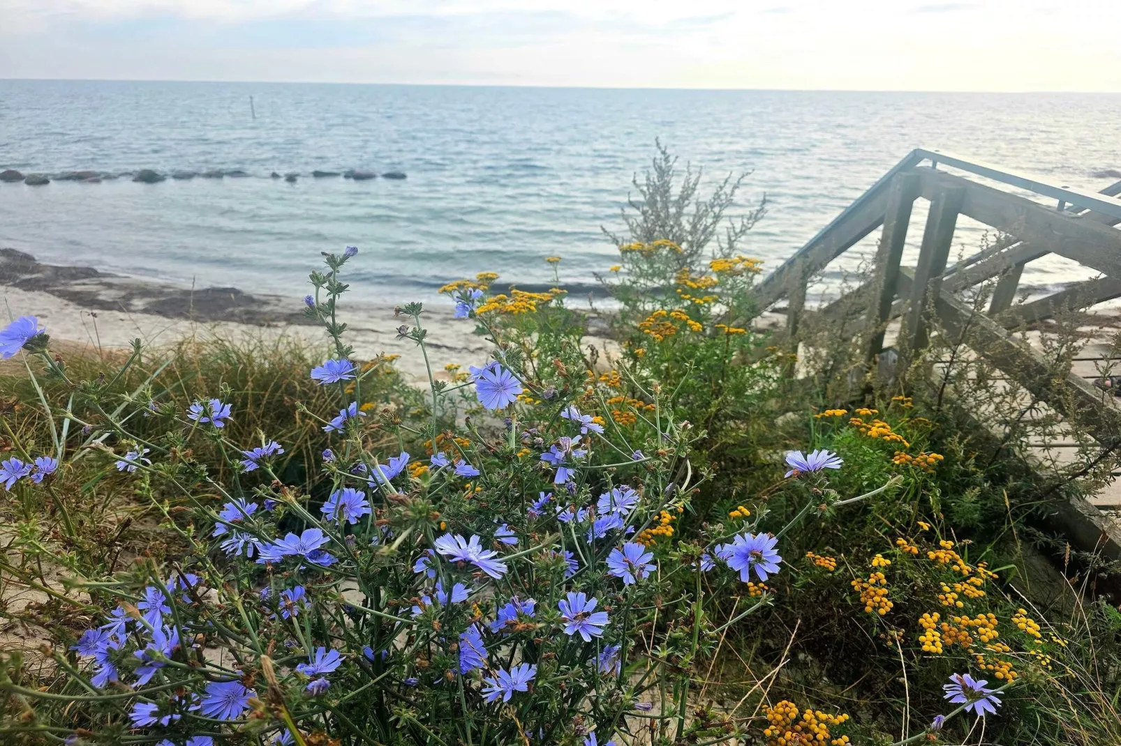 Gezellig toevluchtsoord met sauna -- By Traum Ferienwohnungen-Waterzicht