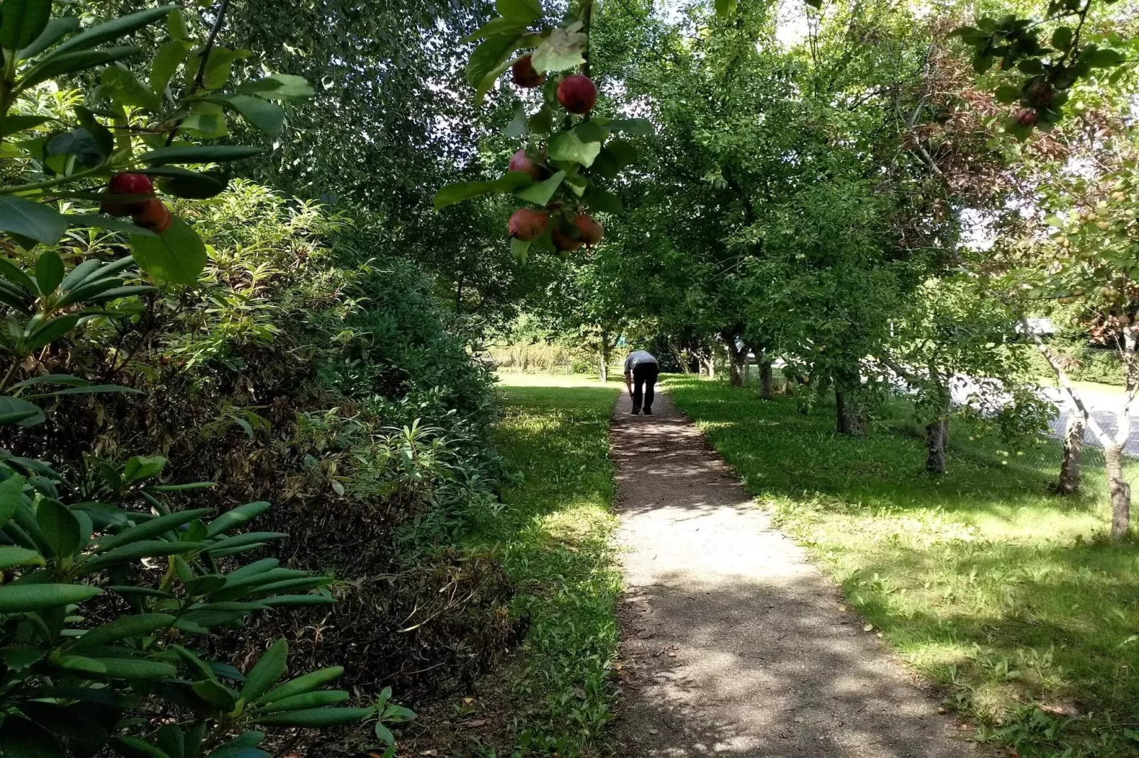 6 persoons vakantie huis in Sæby-By Traum-Niet-getagd