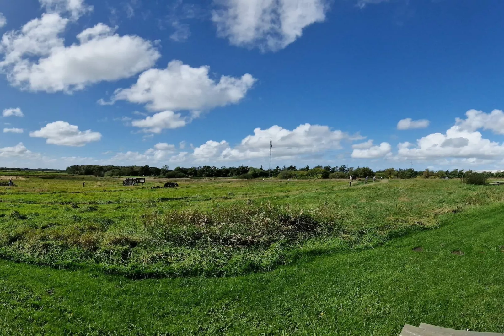 8 persoons vakantie huis in Oksbøl-Niet-getagd