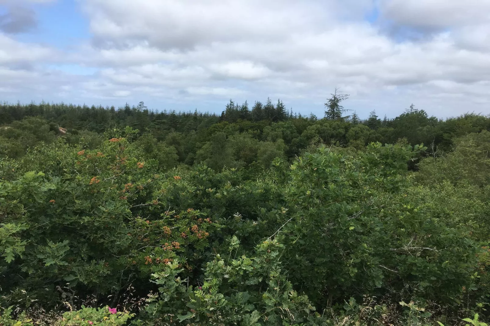 Gezellige Blokhut Toevluchtsoord-By Traum-Niet-getagd