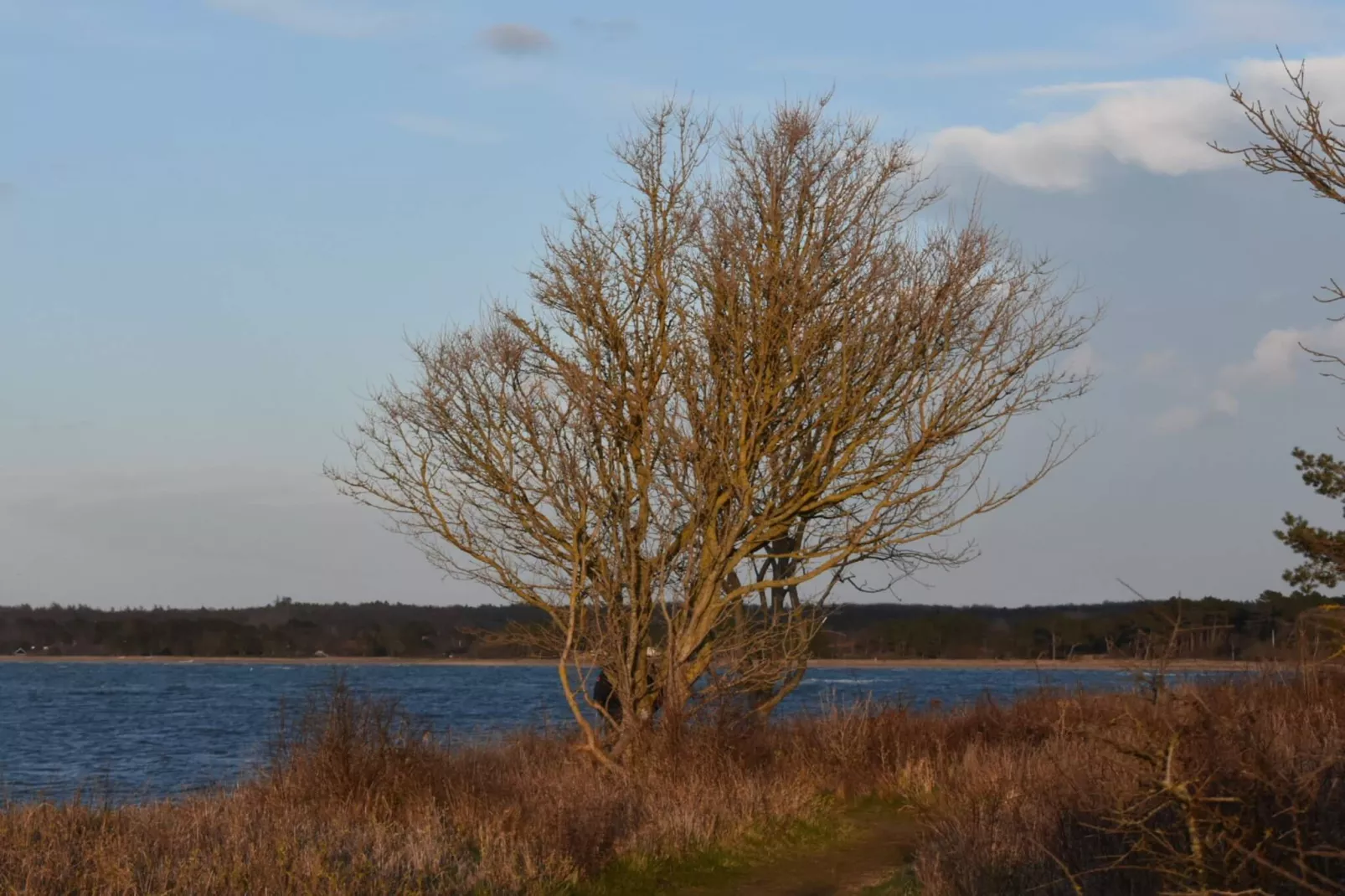 Sfeervolle huisje in de natuur -- By Traum Ferienwohnungen-Waterzicht