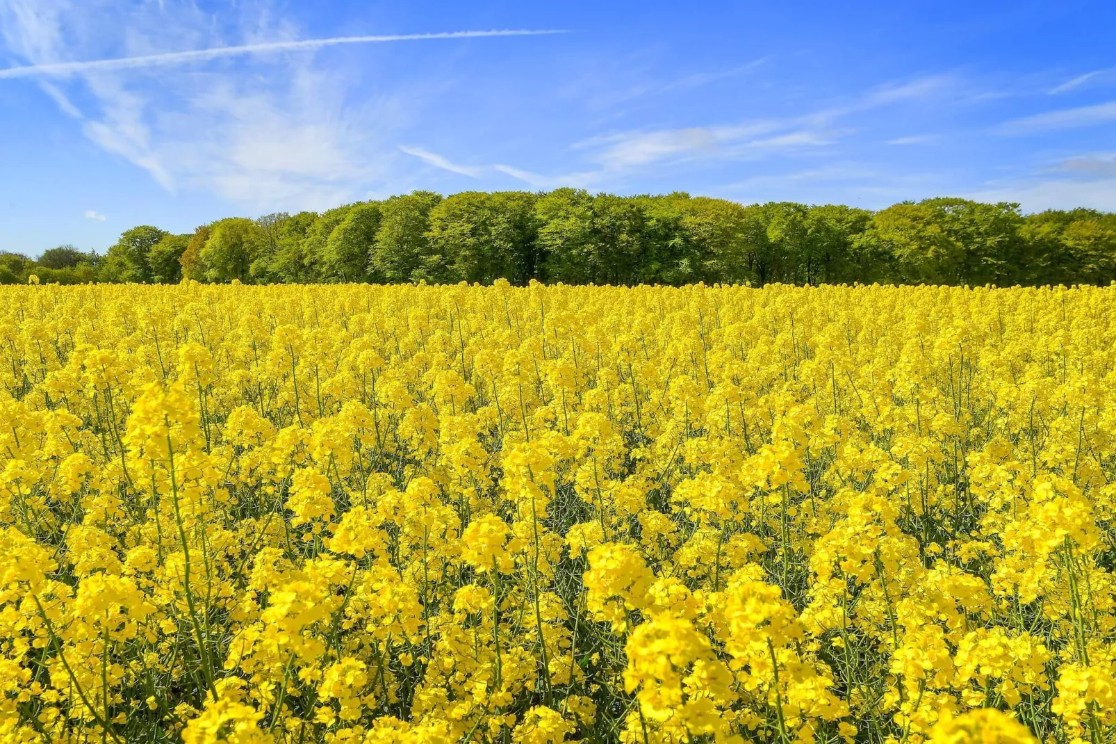 6 persoons vakantie huis in Sæby-By Traum-Niet-getagd