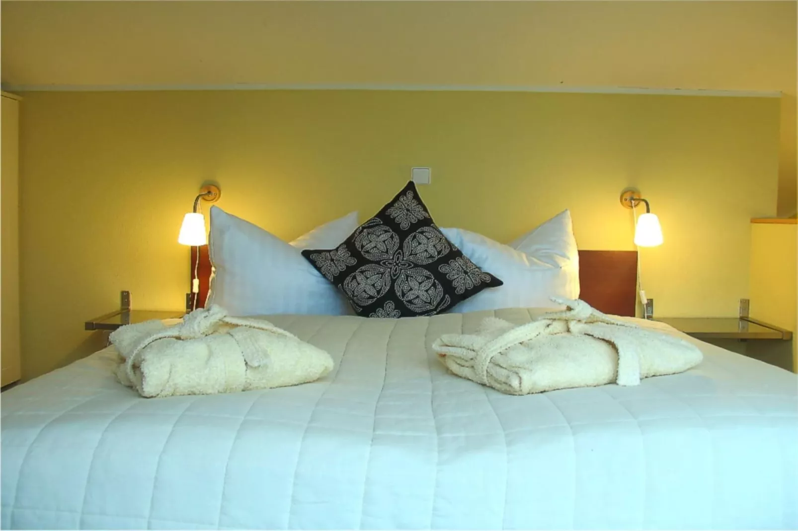 Eisvogel Classic 302