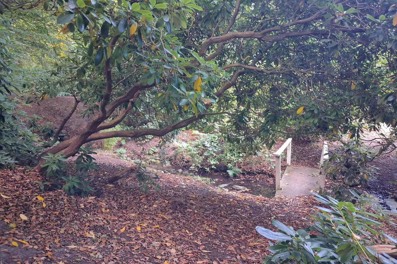 6 persoons vakantie huis in Sæby-By Traum-Niet-getagd