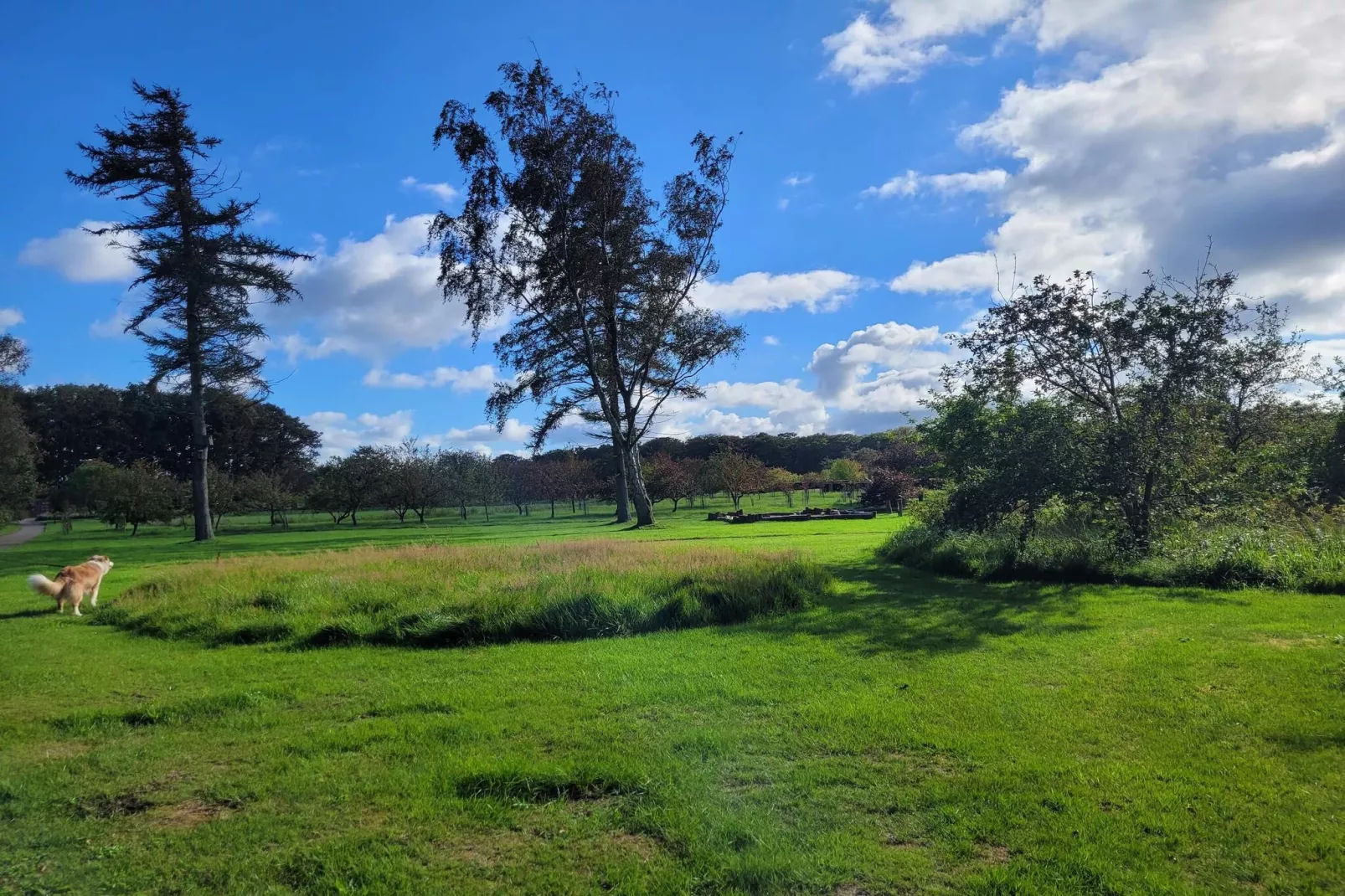 6 persoons vakantie huis in Sæby-By Traum-Niet-getagd