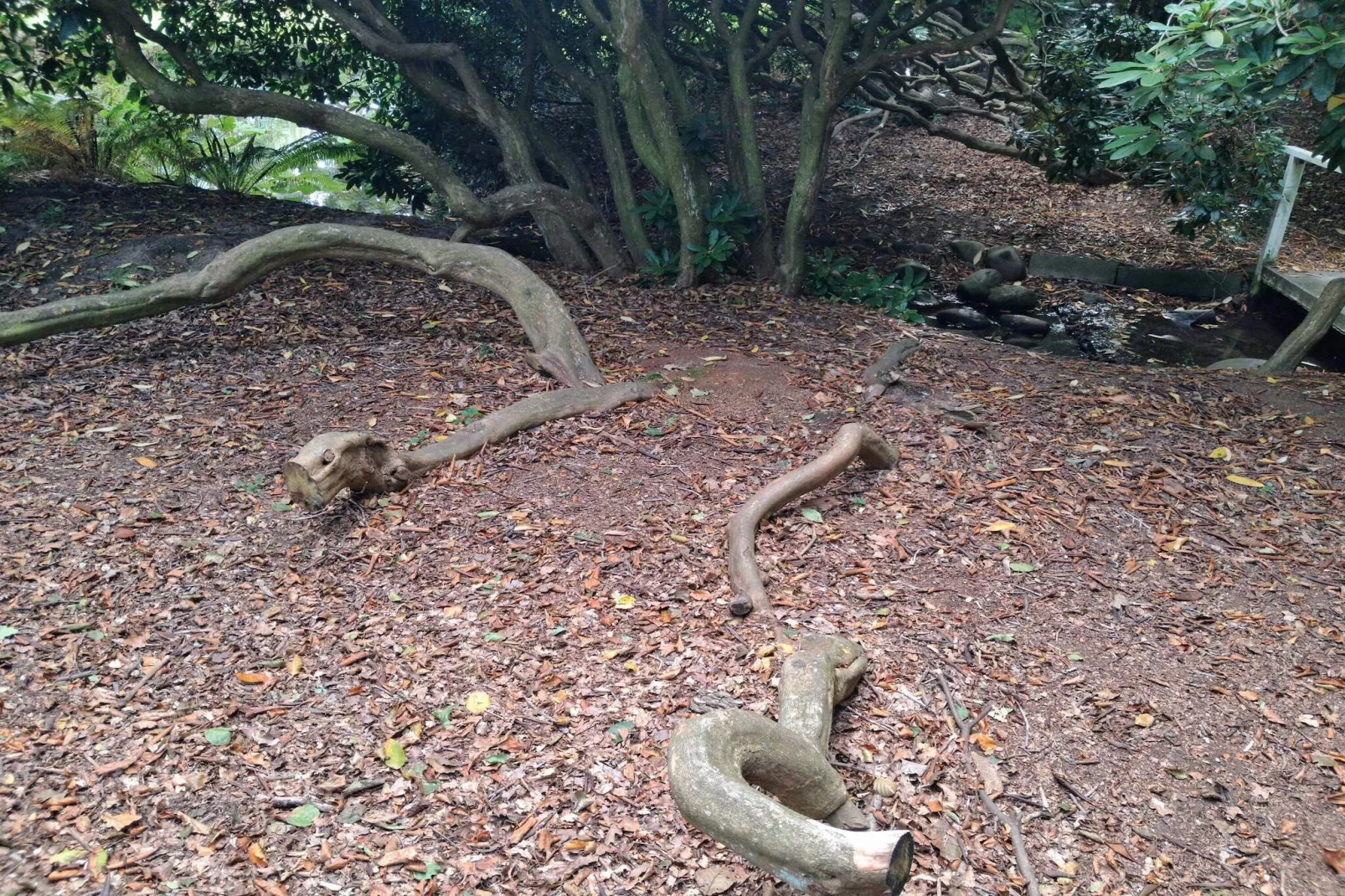 6 persoons vakantie huis in Sæby-By Traum-Niet-getagd