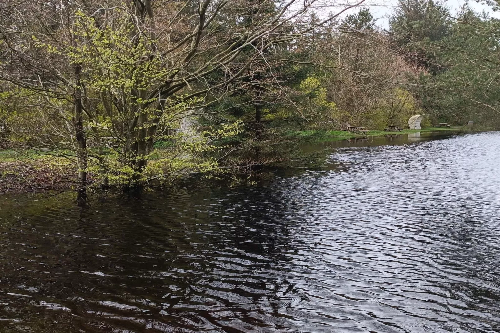 6 persoons vakantie huis in Oksbøl-By Traum-Waterzicht