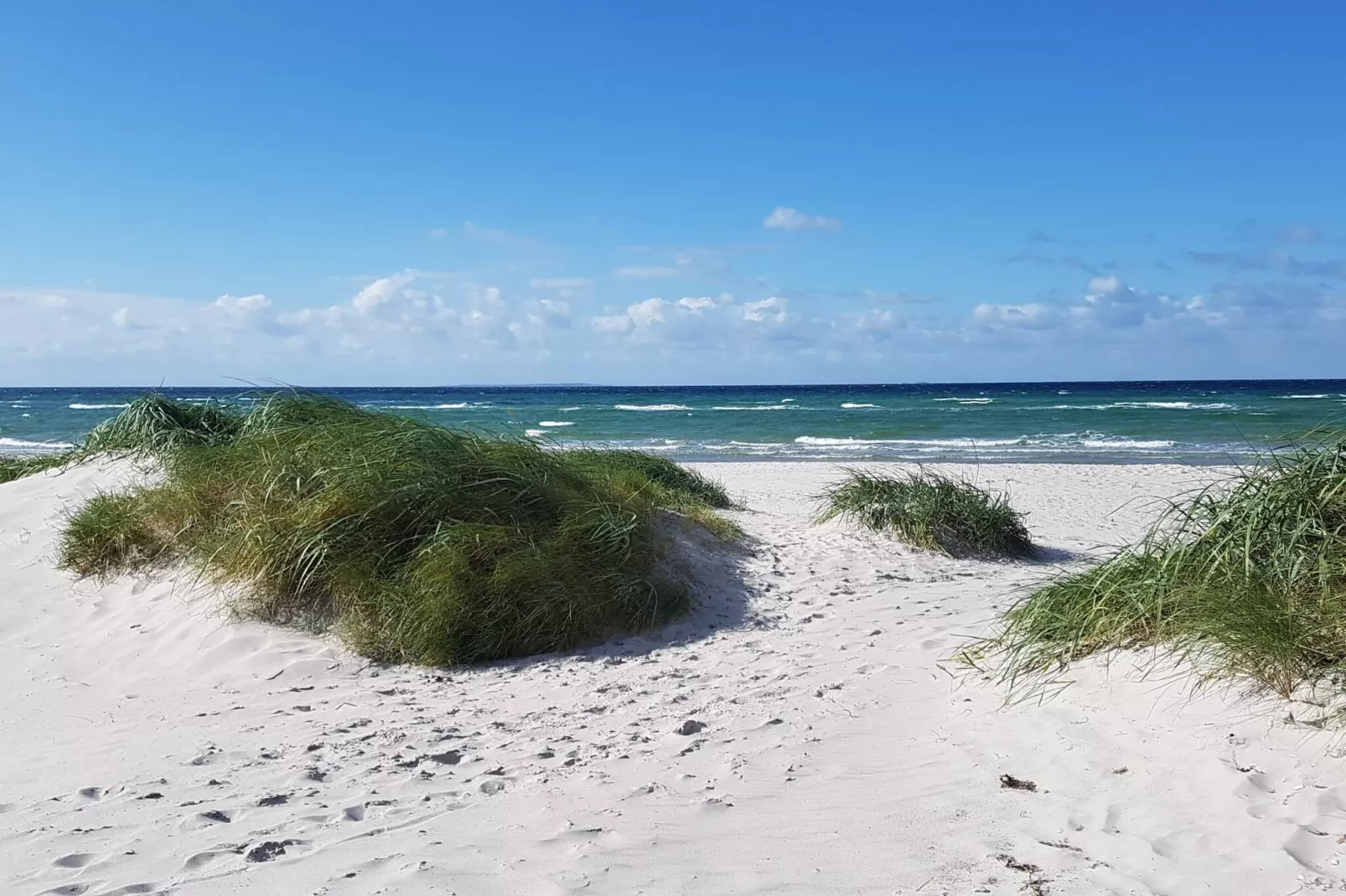 14 persoons vakantie huis in Ebeltoft-Waterzicht