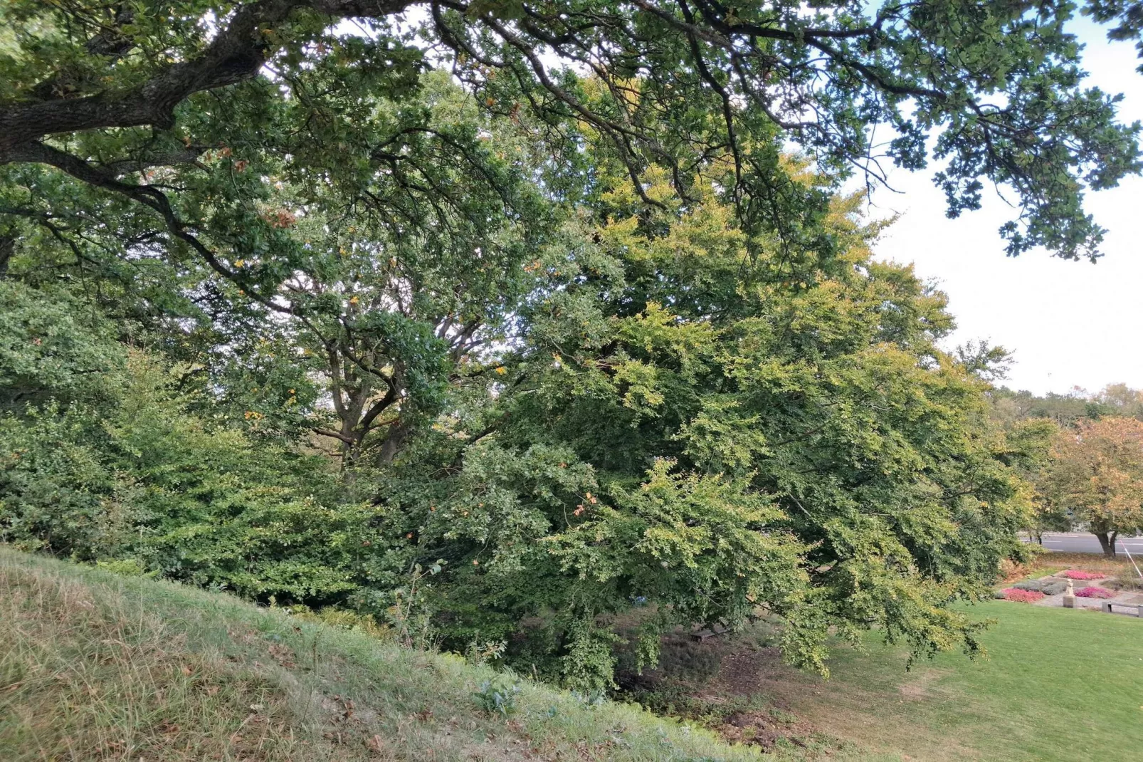 6 persoons vakantie huis in Sæby-By Traum-Niet-getagd