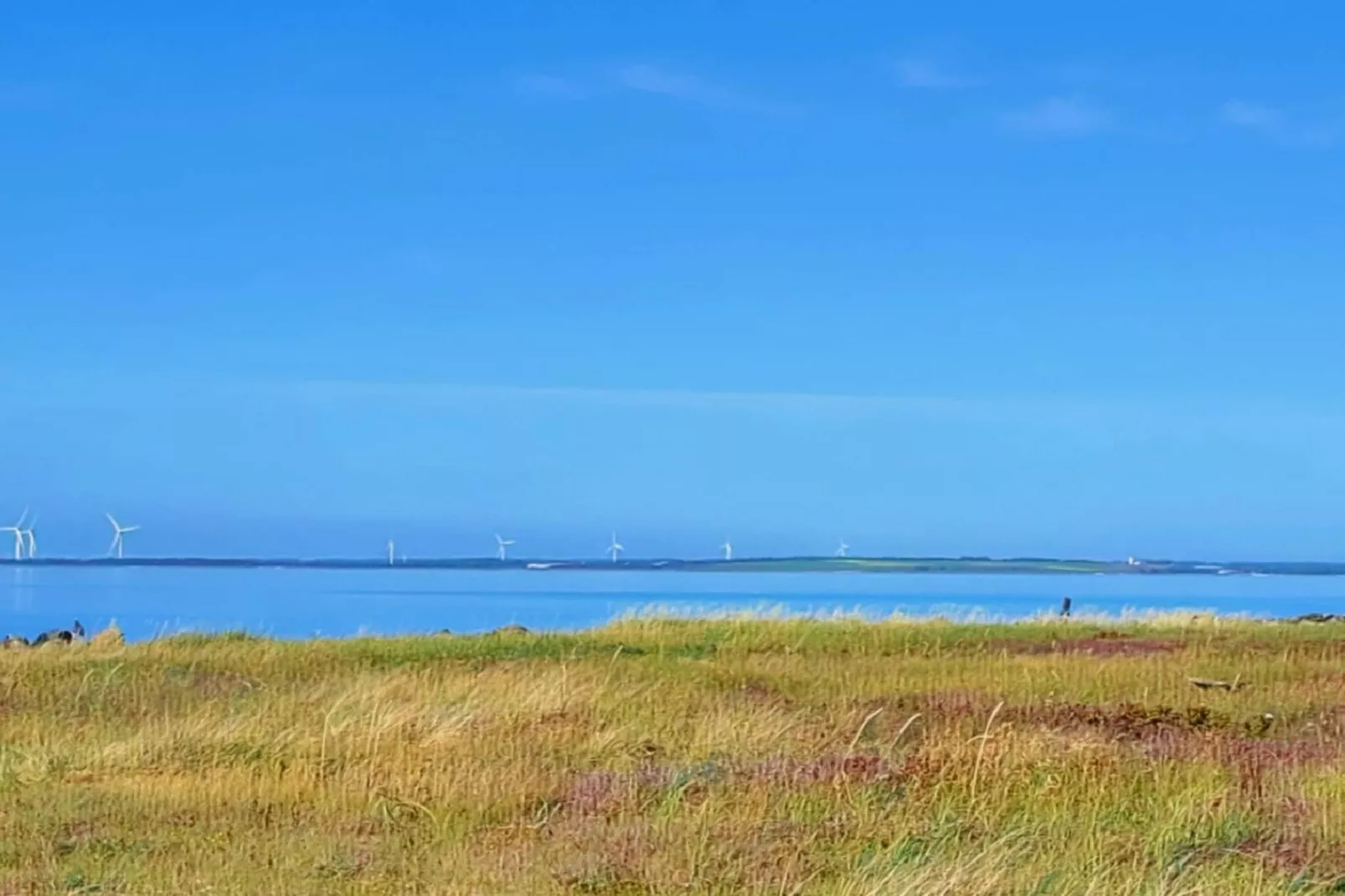 10 persoons vakantie huis in Ranum-Waterzicht