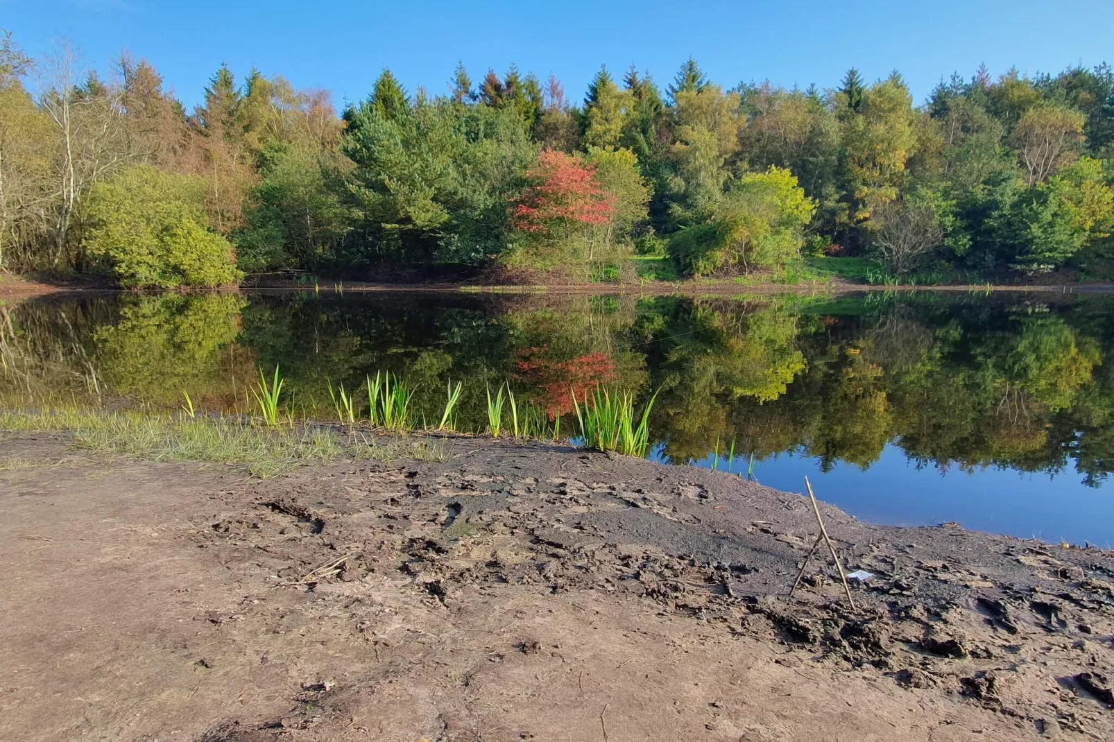 Gezellige Blokhut Toevluchtsoord-By Traum-Waterzicht