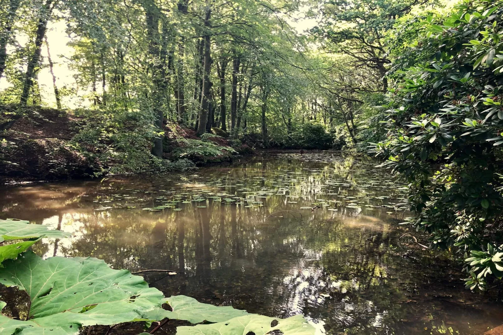 6 persoons vakantie huis in Sæby-By Traum-Waterzicht