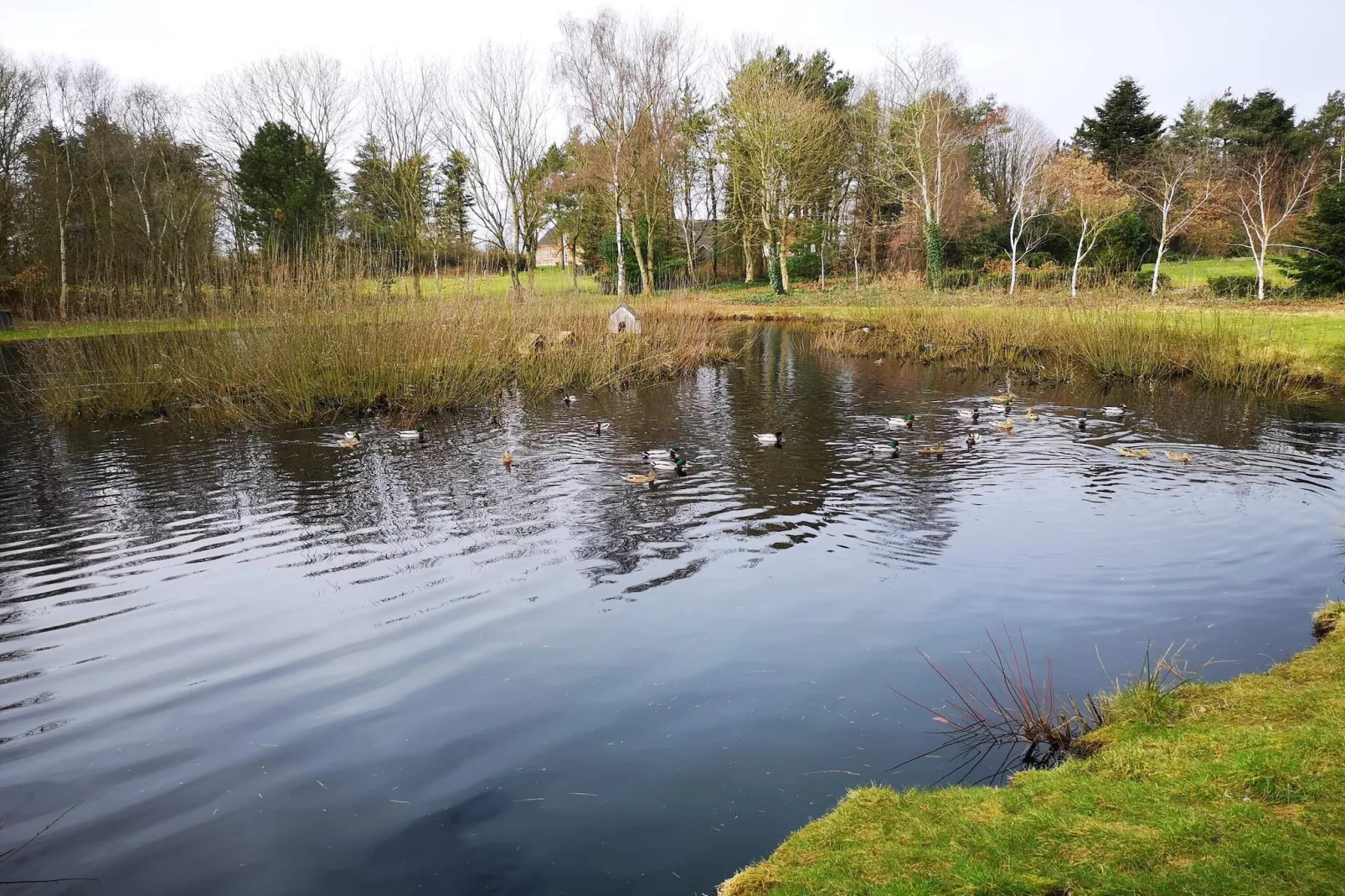 Gezellige Blokhut Toevluchtsoord-By Traum-Waterzicht