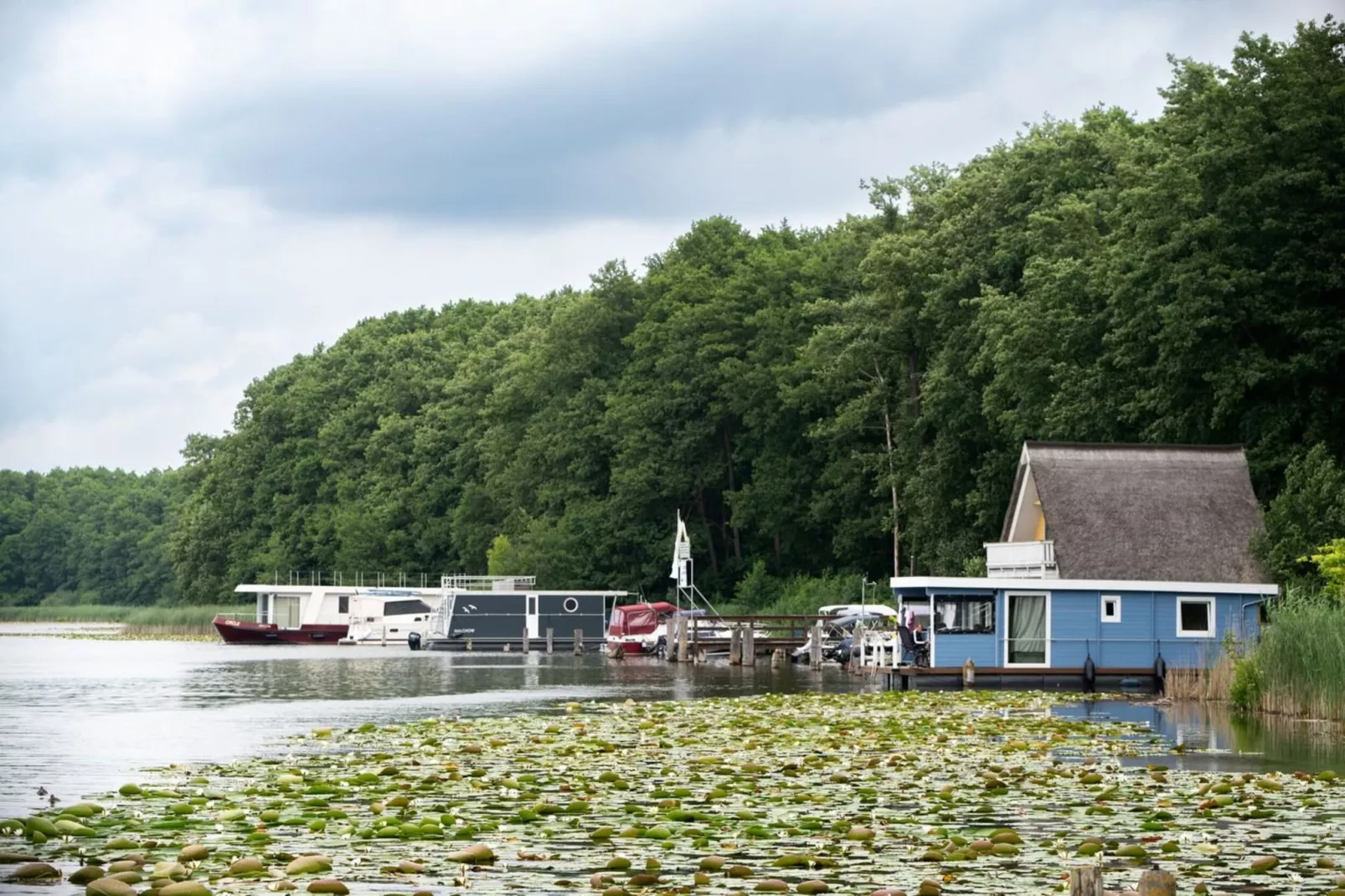 Eisvogel Classic 301-Gebieden zomer 1km
