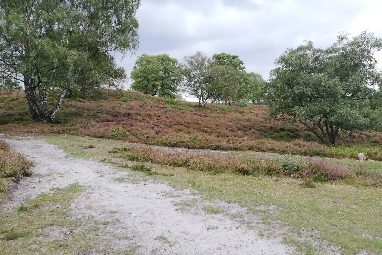 8 persoons vakantie huis in Gjern-By Traum