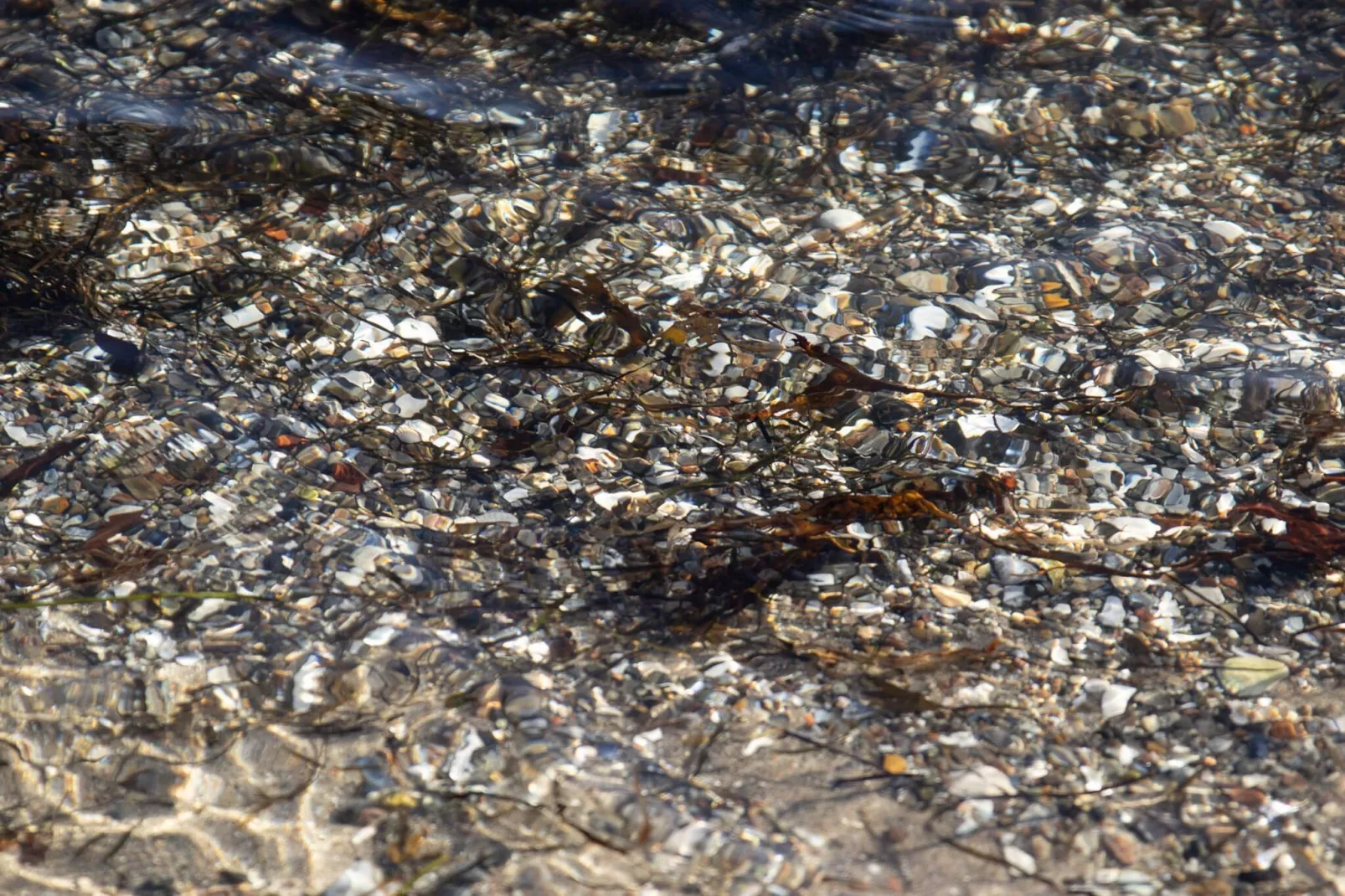 10 persoons vakantie huis in Sjølund-By Traum