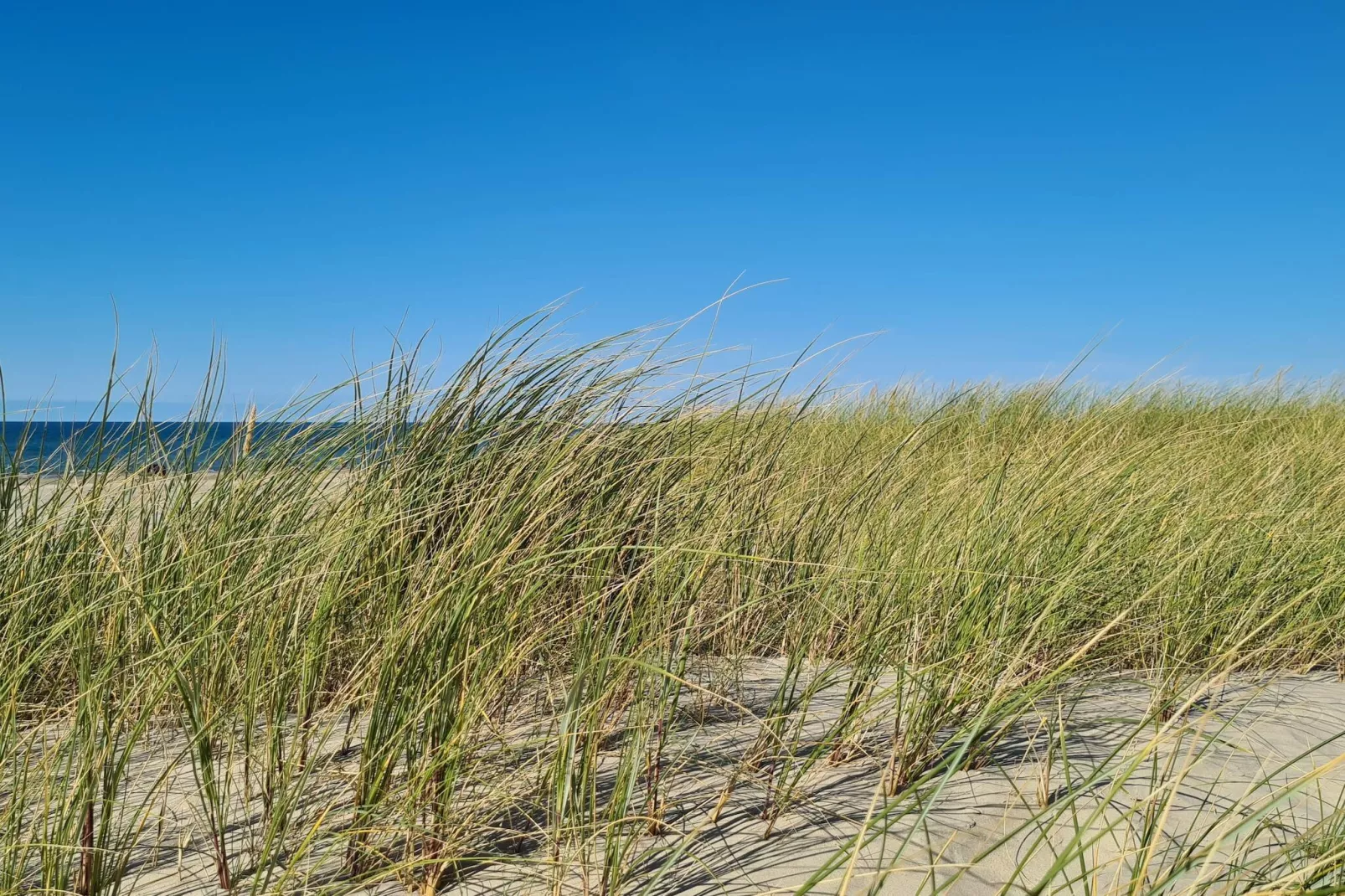 Afgelegen strandtoevlucht in Rodhus-By Traum