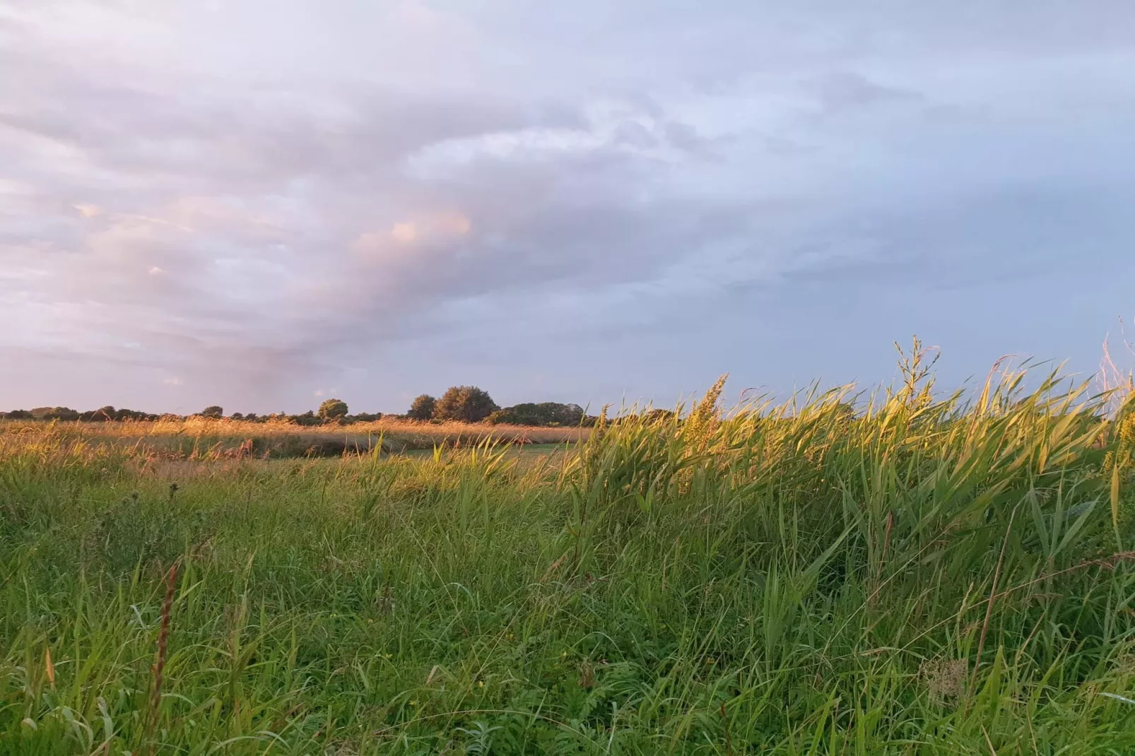 6 persoons vakantie huis in Sydals-By Traum-Niet-getagd