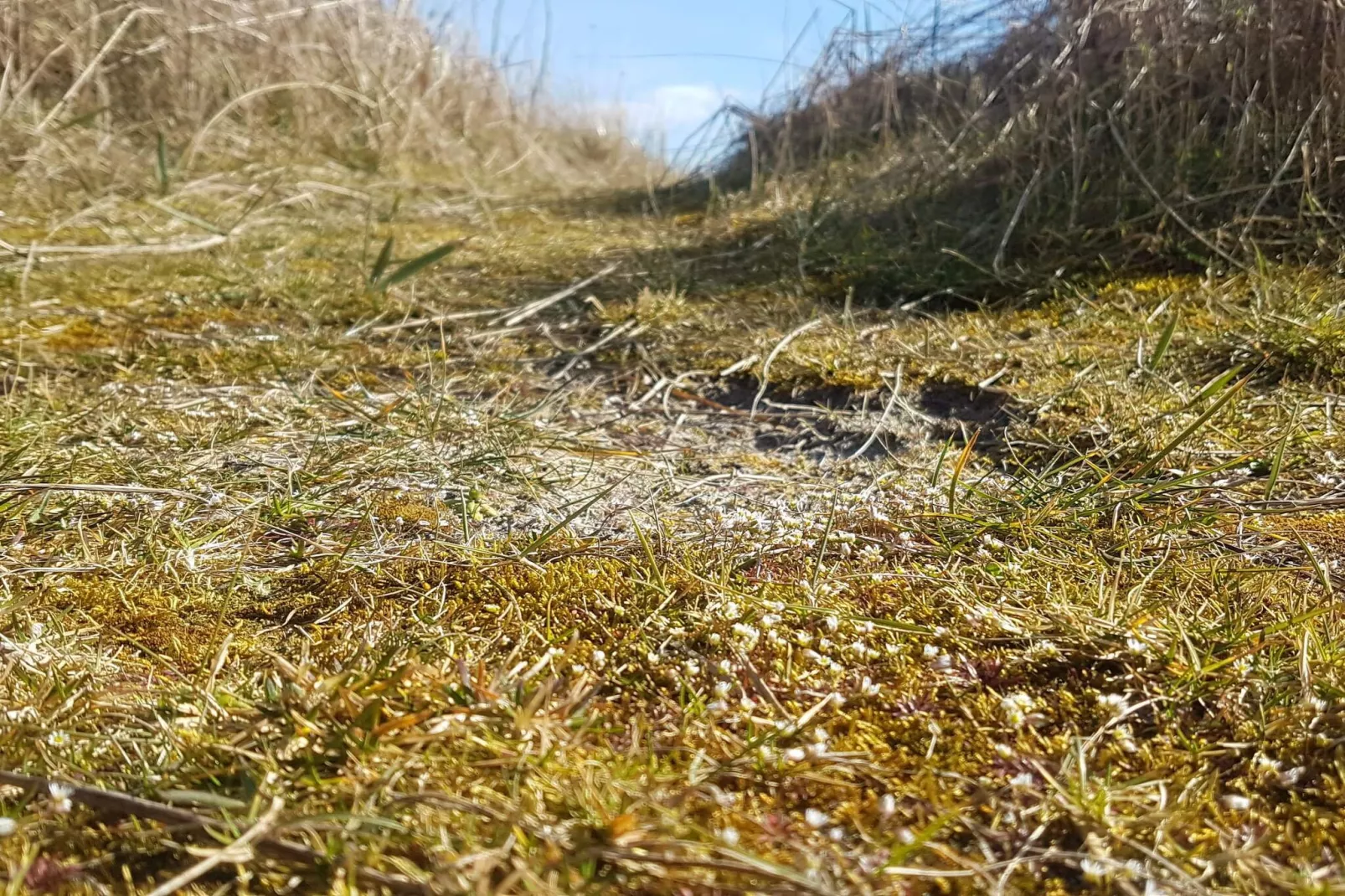 6 persoons vakantie huis in Sydals-By Traum-Niet-getagd