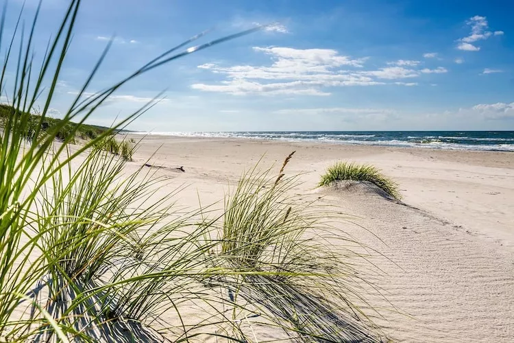 Połowa bliżniaka wakacyjnego w Rowach-Gebieden zomer 1km