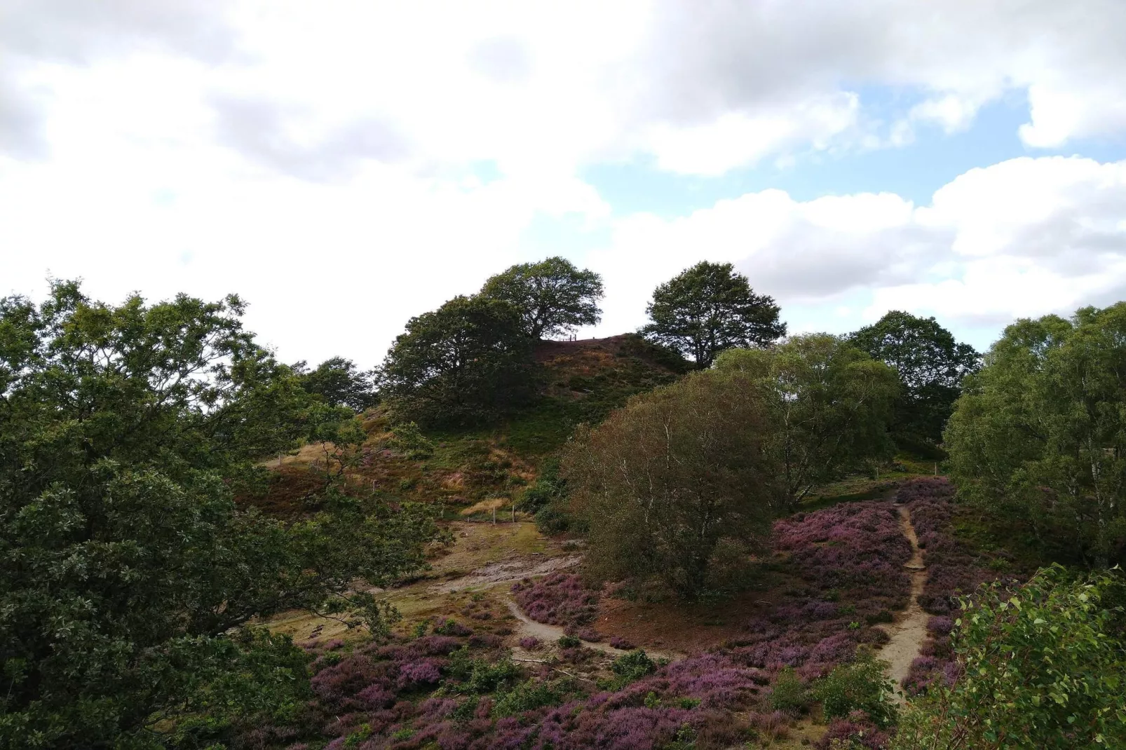 8 persoons vakantie huis in Gjern-By Traum-Niet-getagd