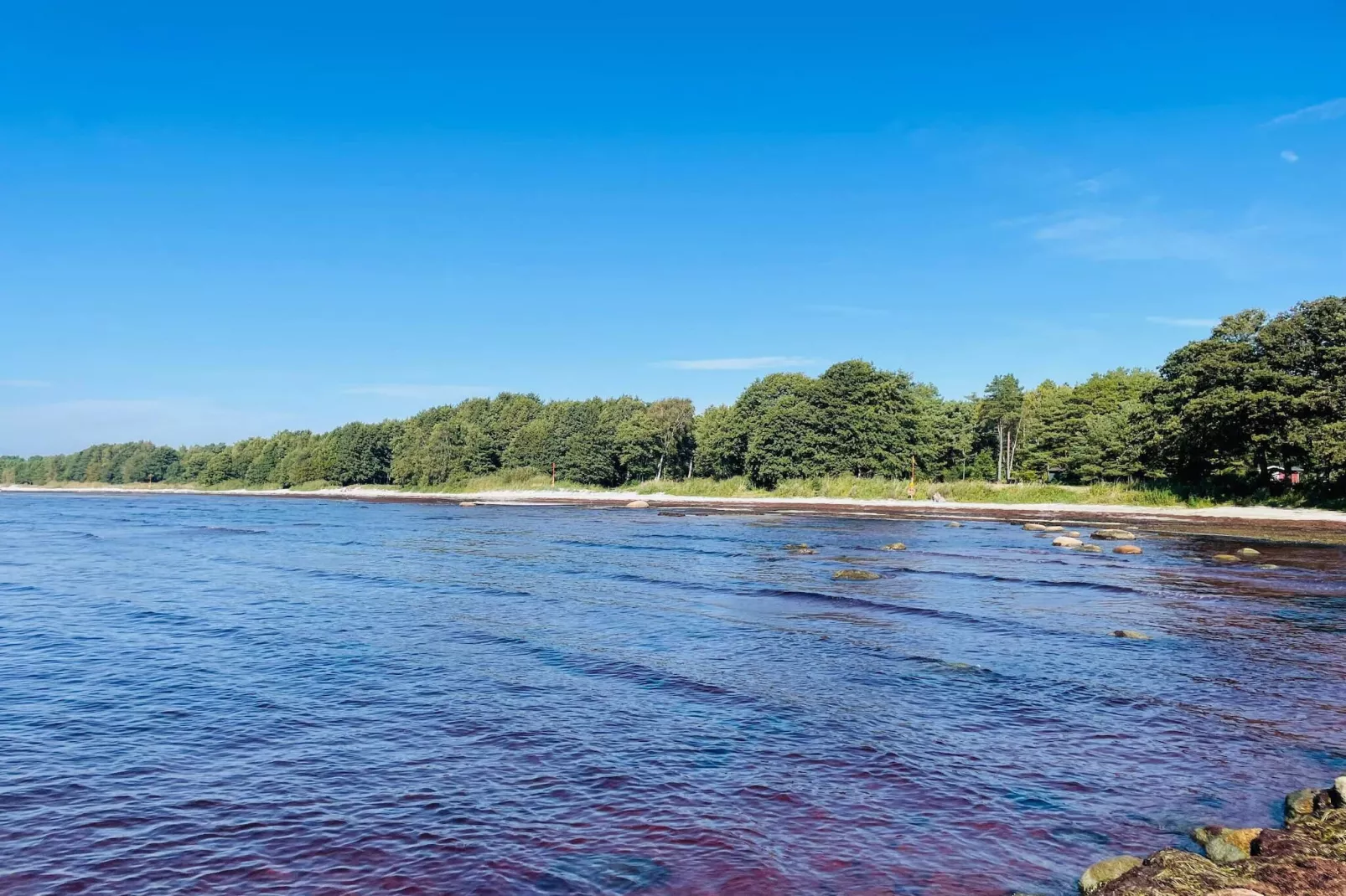 Gezellig strandhuisje in Grammahagen-Niet-getagd