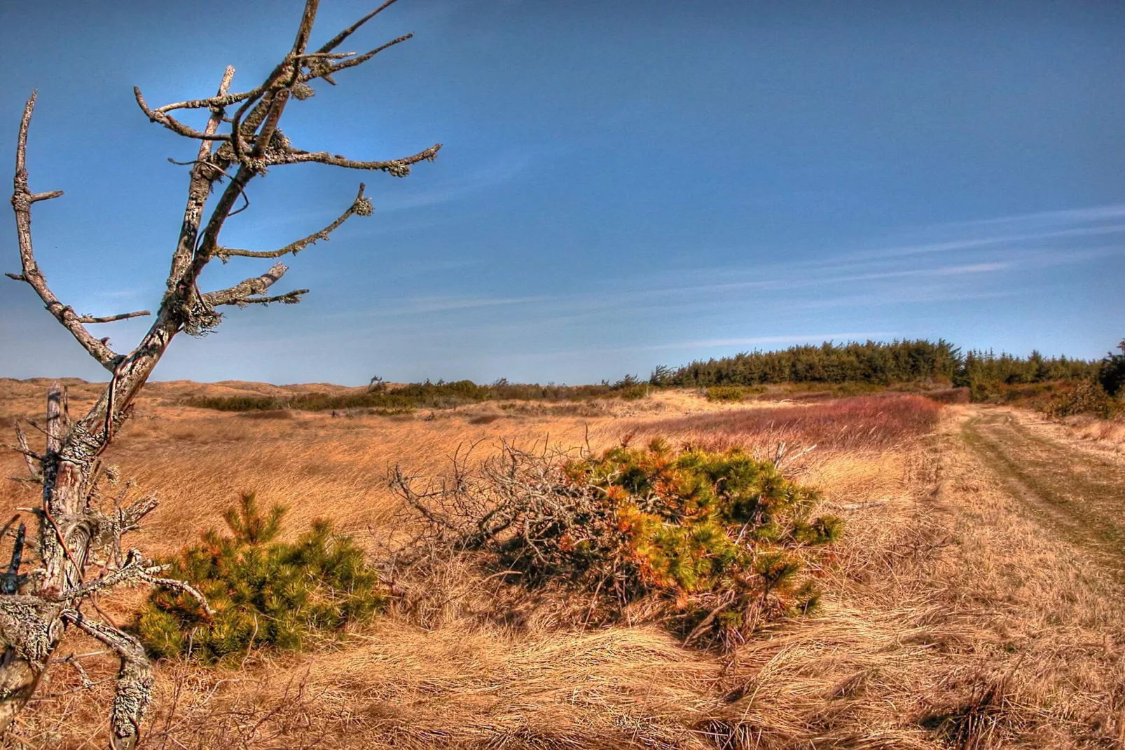 Afgelegen strandtoevlucht in Rodhus-By Traum-Niet-getagd