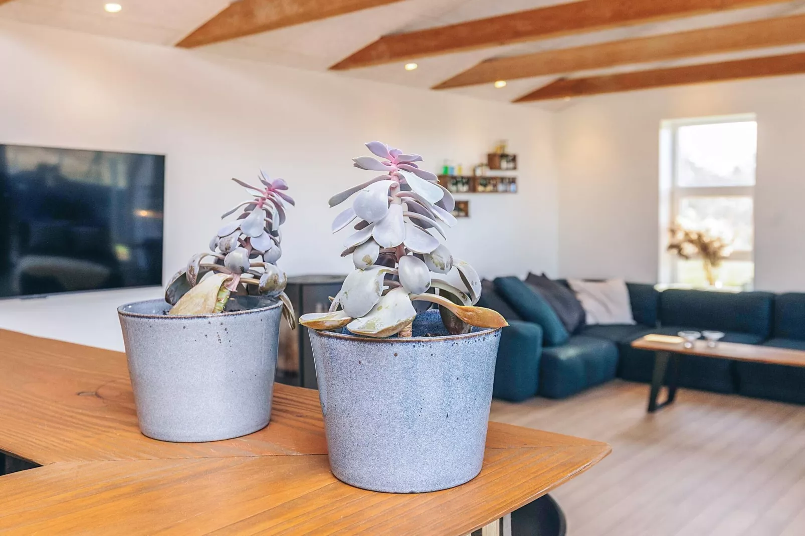 Luxe toevluchtsoord in Lokken -- By Traum Ferienwohnungen-Binnen