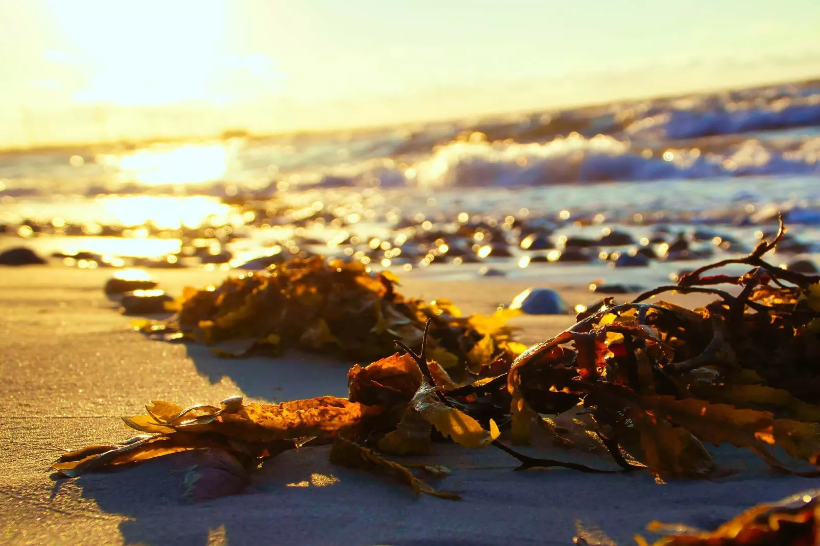 6 persoons vakantie huis in Sydals-By Traum-Waterzicht