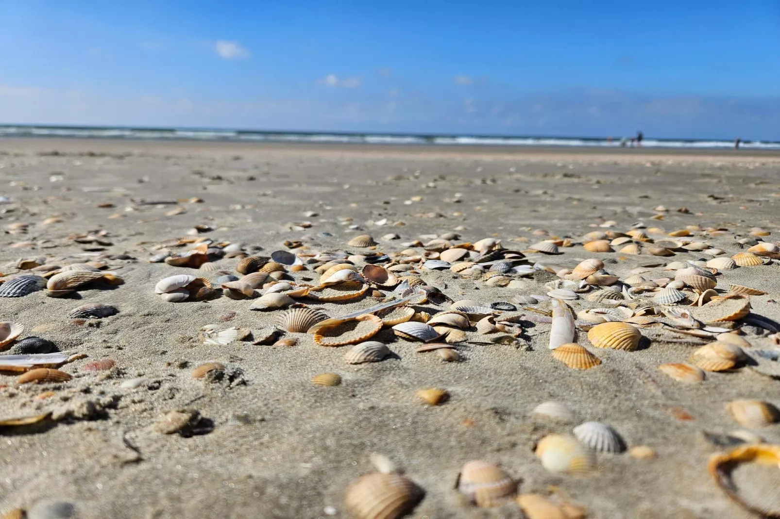 6 persoons vakantie huis in Rømø-Waterzicht