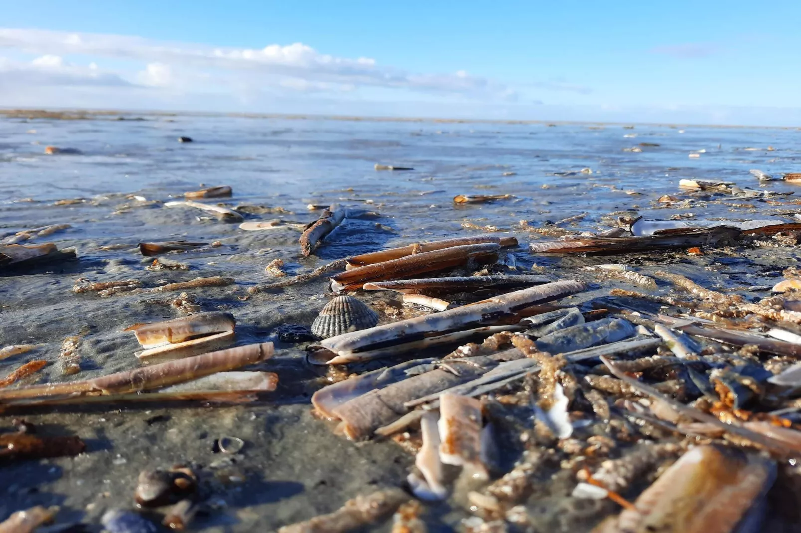 Luxe retraite met zwembad By Traum Ferienwohnungen-Waterzicht