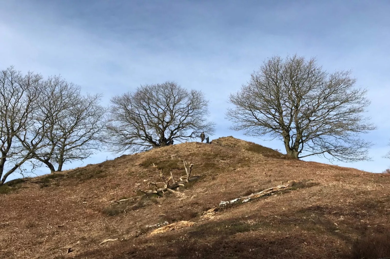 8 persoons vakantie huis in Gjern-By Traum-Niet-getagd