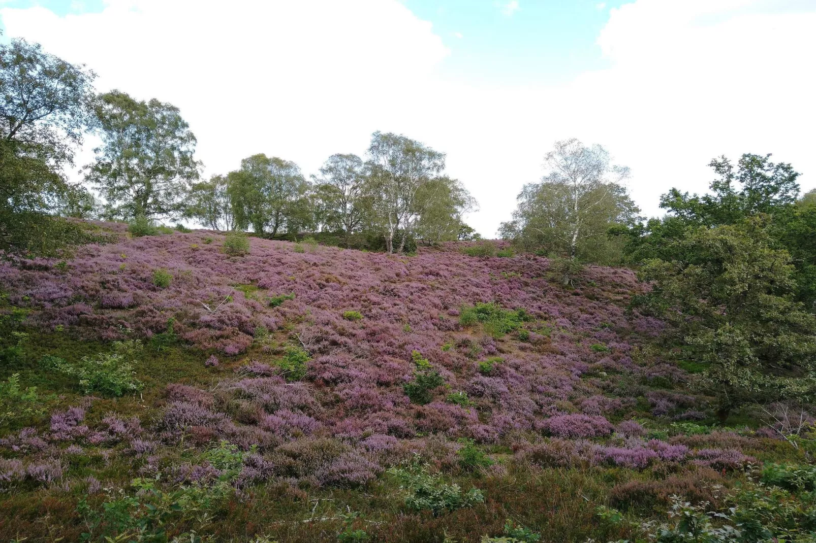 8 persoons vakantie huis in Gjern-By Traum-Niet-getagd