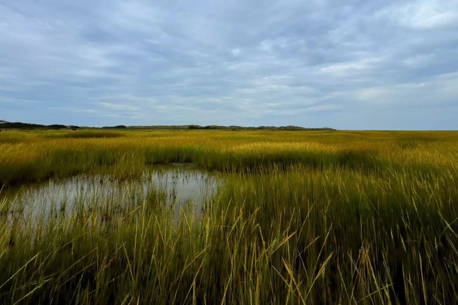 Luxe retraite met zwembad By Traum Ferienwohnungen-Waterzicht