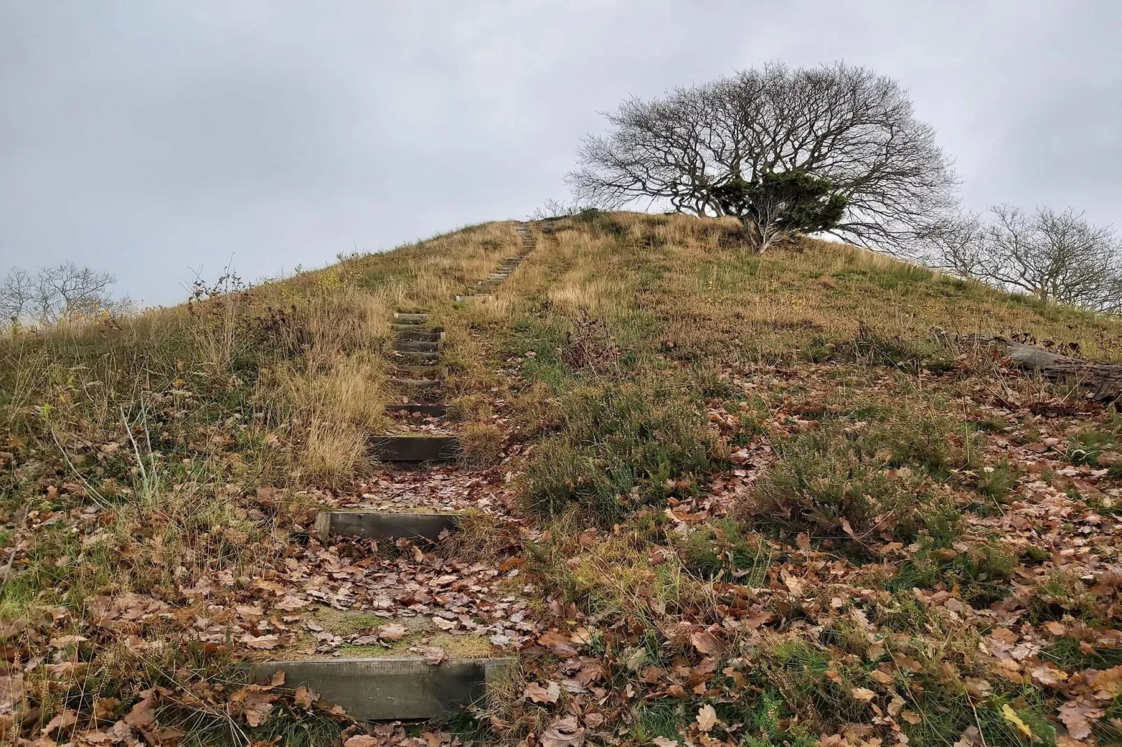 8 persoons vakantie huis in Gjern-By Traum-Niet-getagd