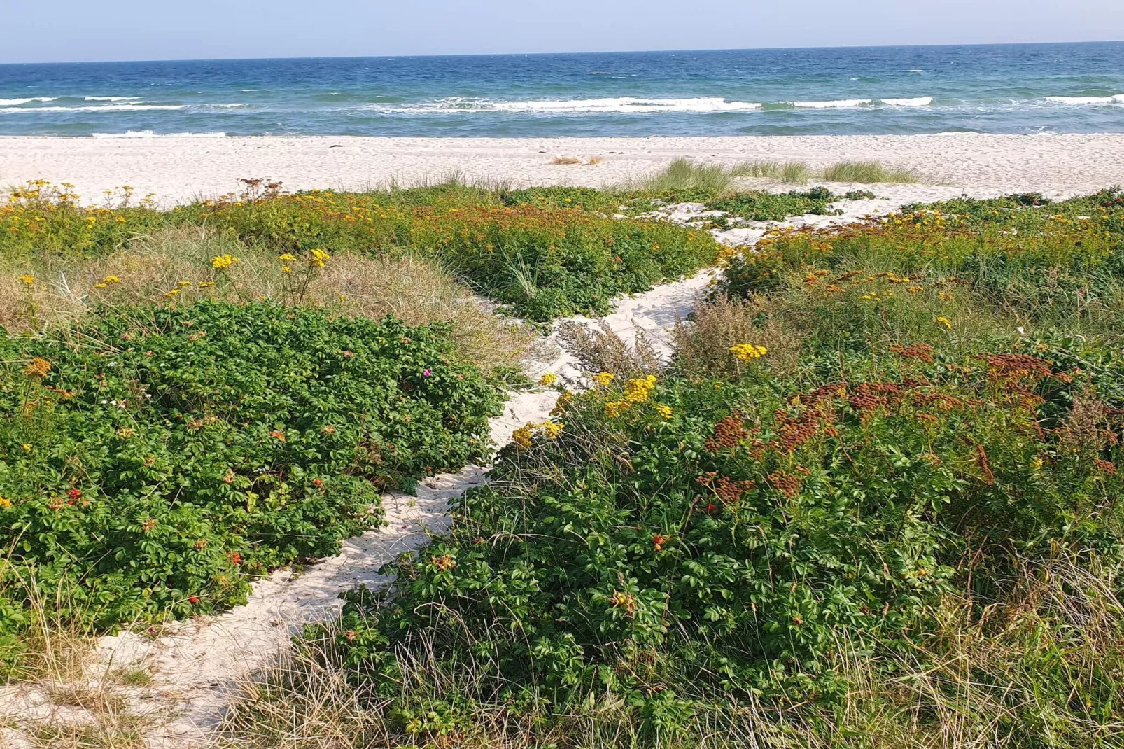 6 persoons vakantie huis in Sydals-By Traum-Waterzicht