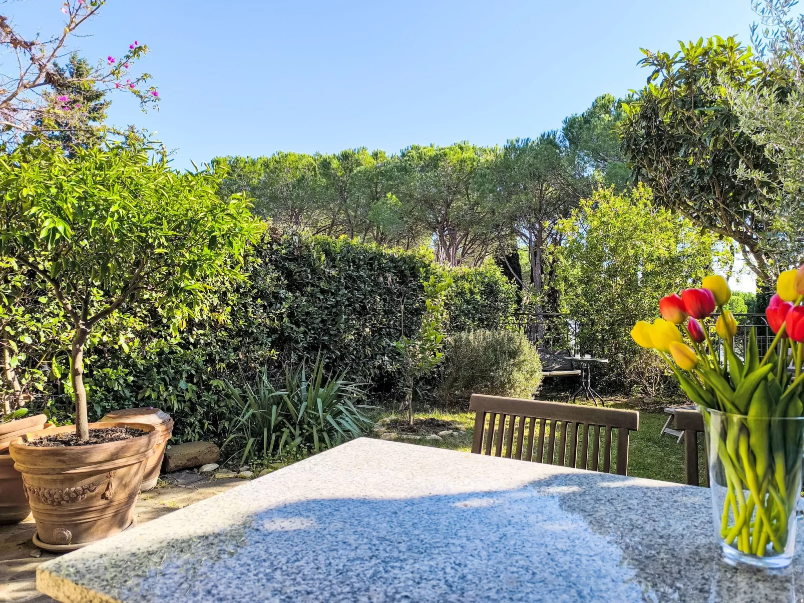 Steffi's House-Buiten