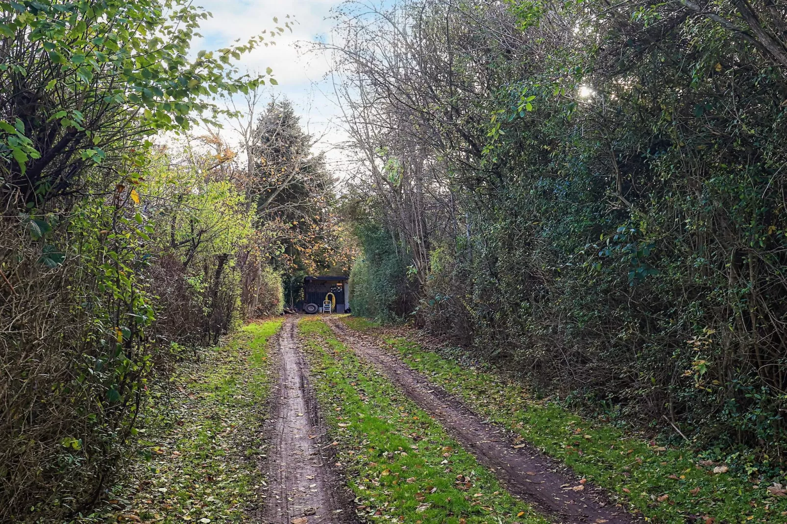 5 persoons vakantie huis in Gilleleje - Uitzicht