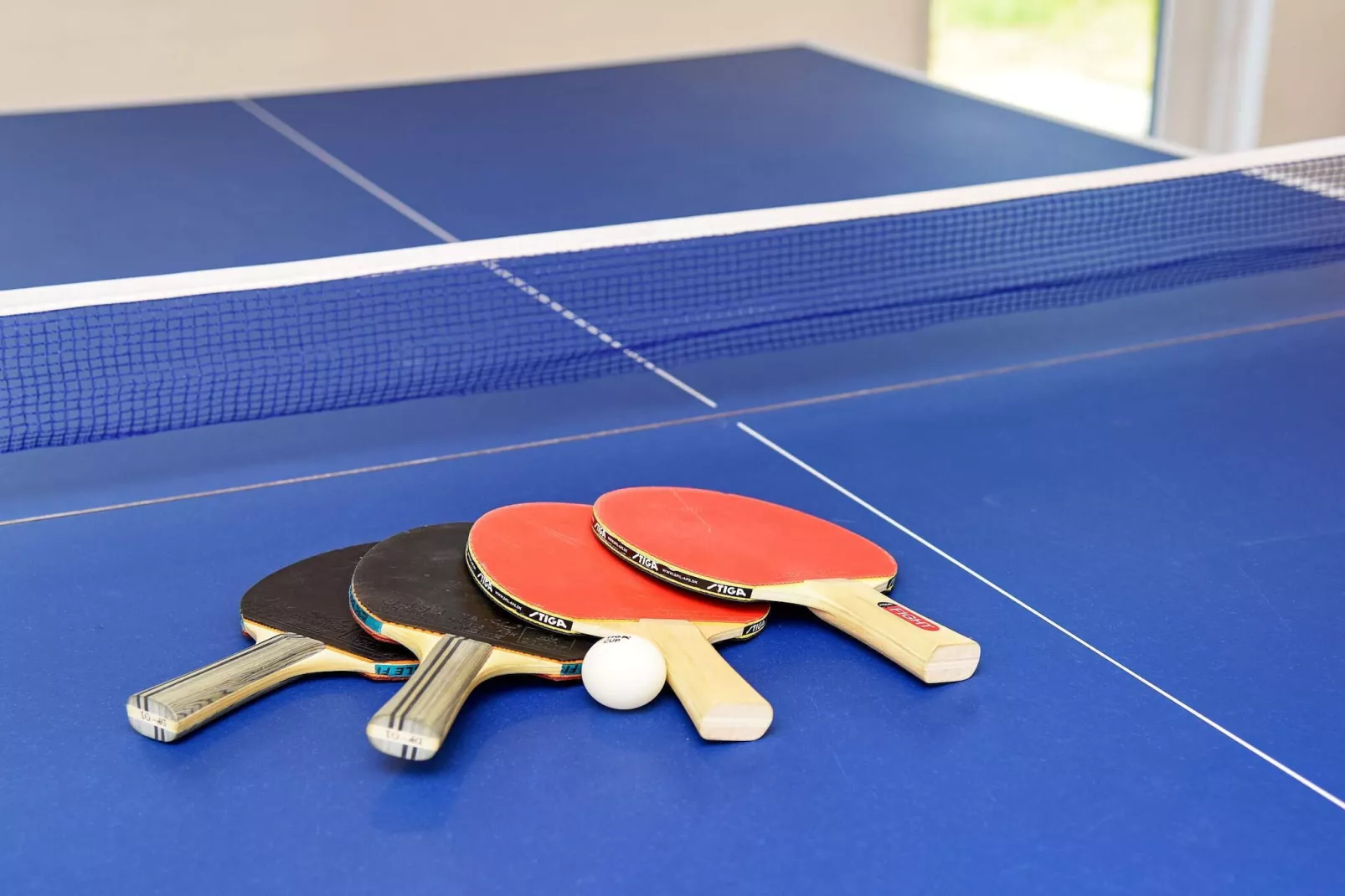 12 persoons vakantie huis in Fanø-By Traum-Binnen