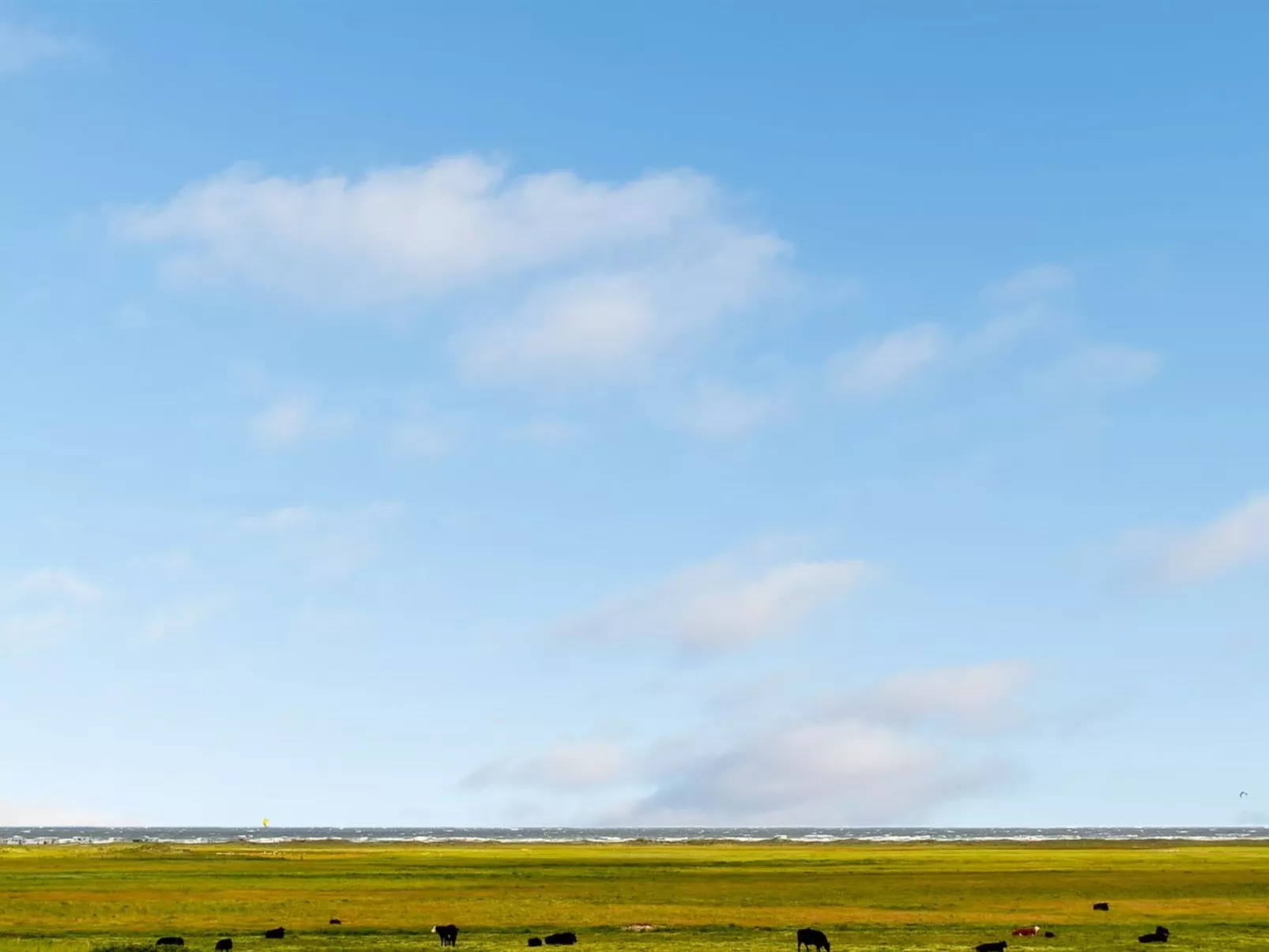 "Mortensen" - 350m from the sea